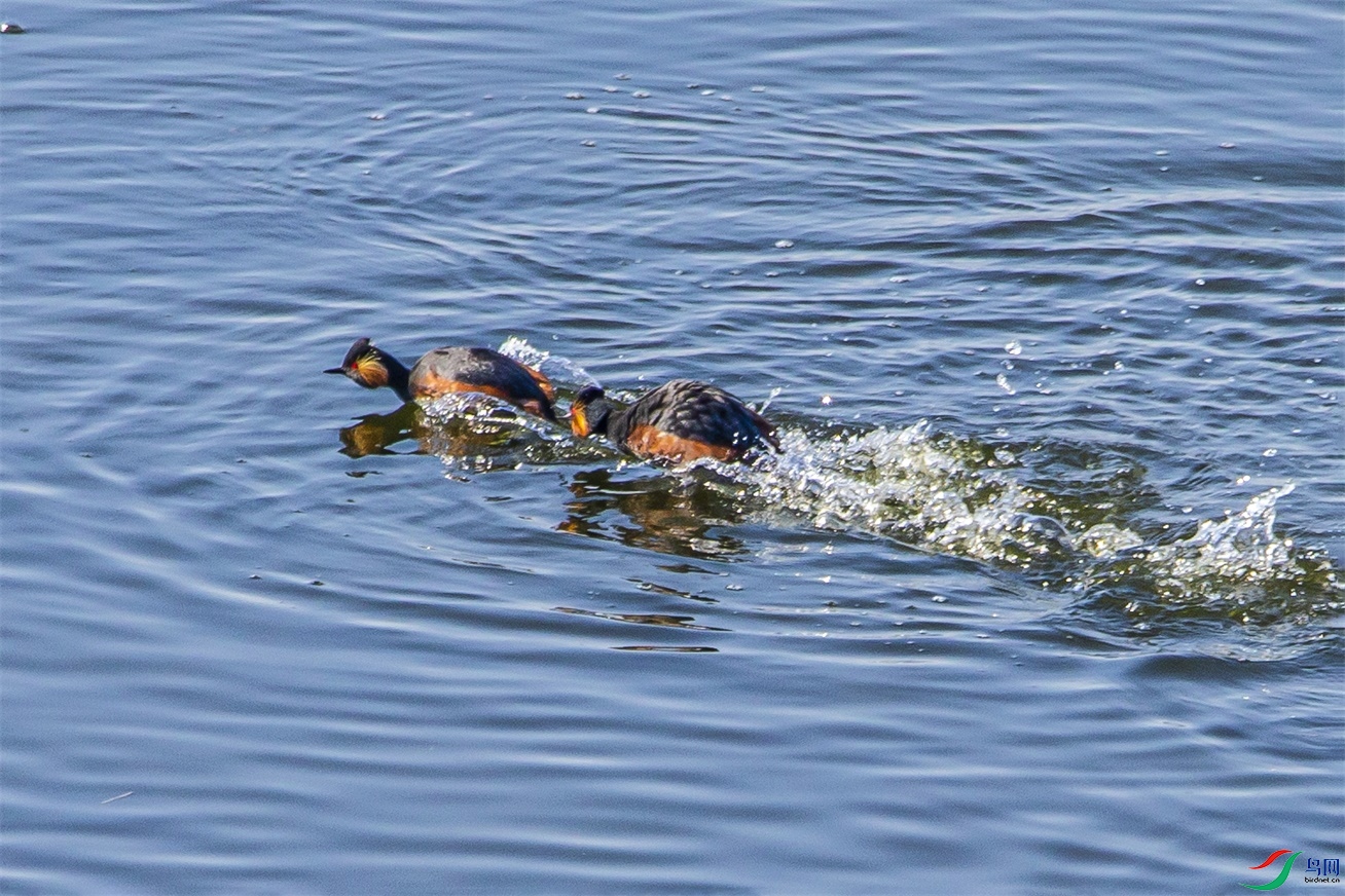 DK7T1865 ����1.jpg