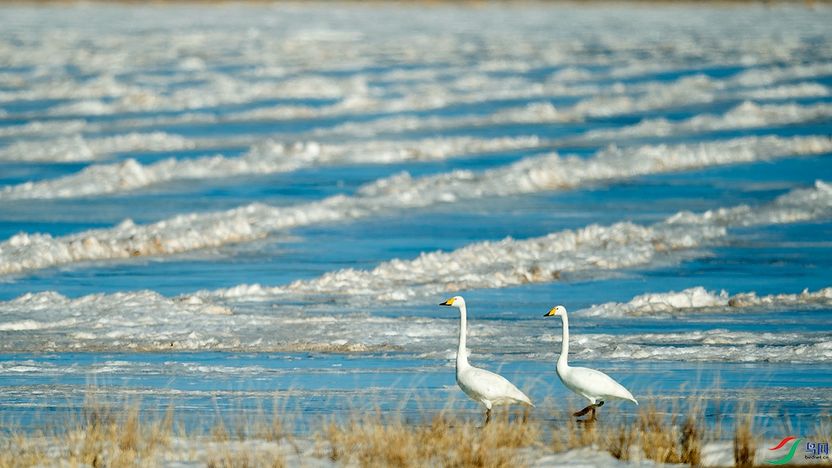_DSC00680.jpg