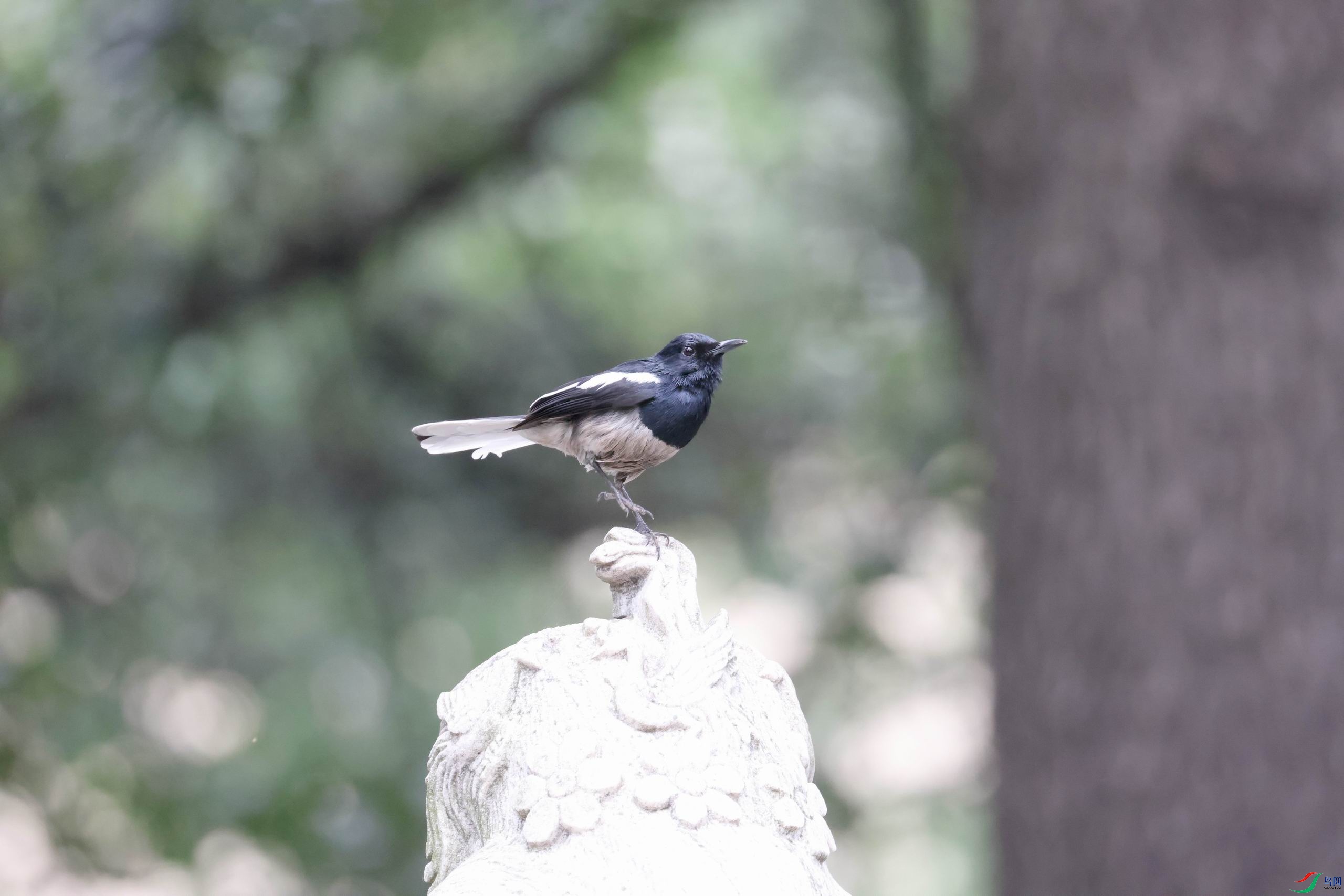 ������С �����ع� 0E5A2123.JPG