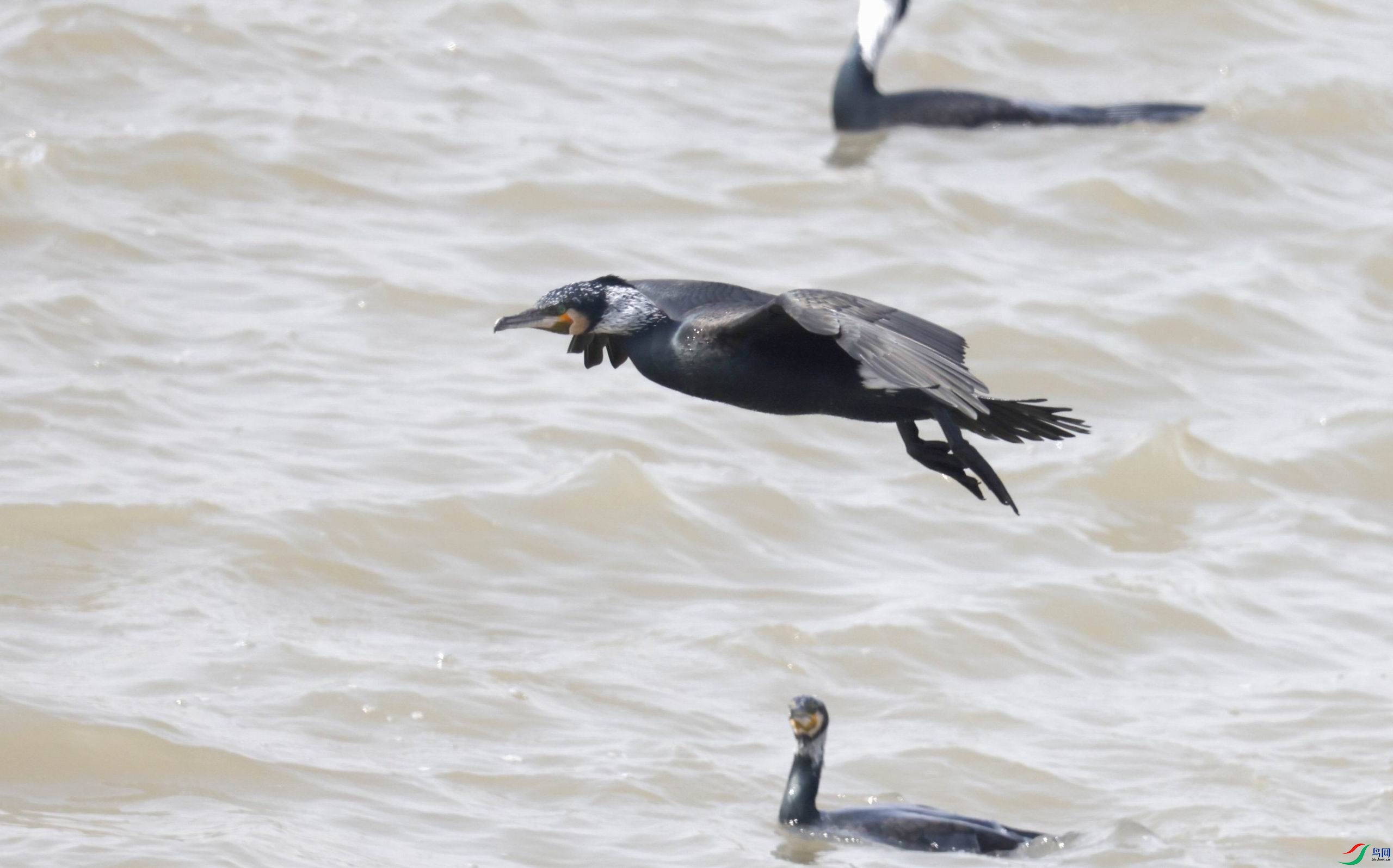 ������С �����ع� 0E5A0005.JPG