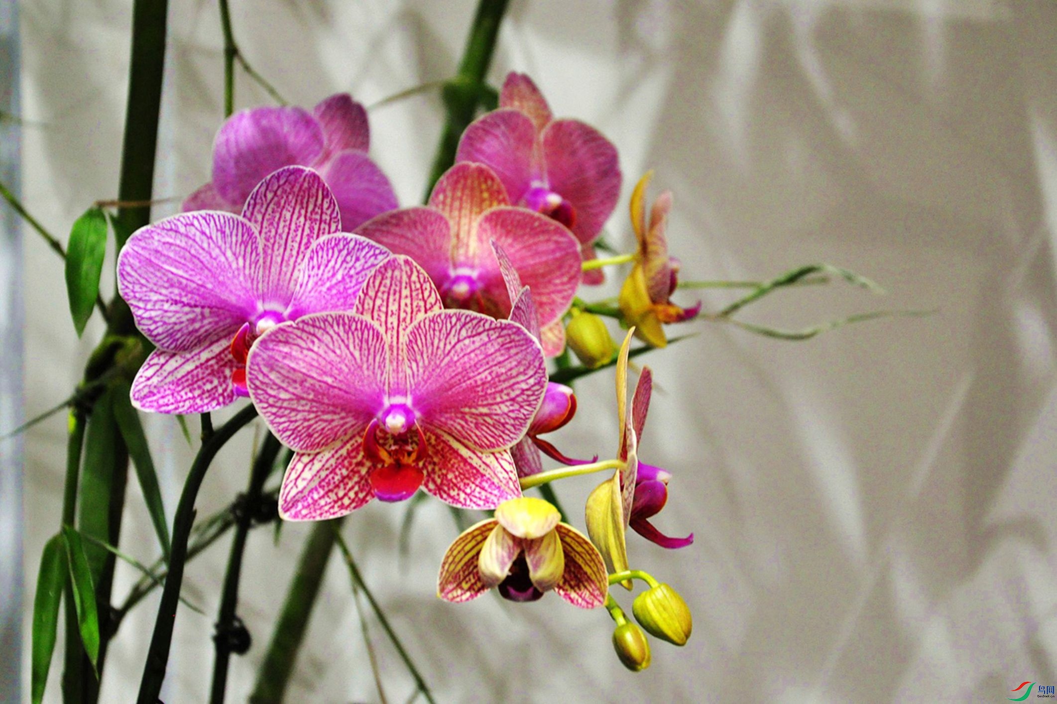 ���� 169_����.jpg