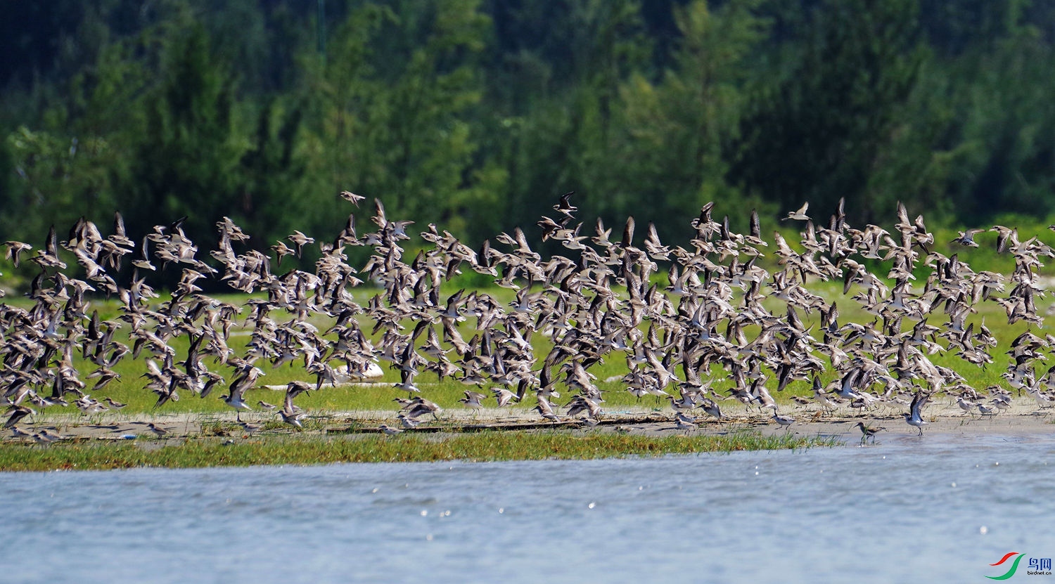 IMGP4285 - ���� (2).JPG