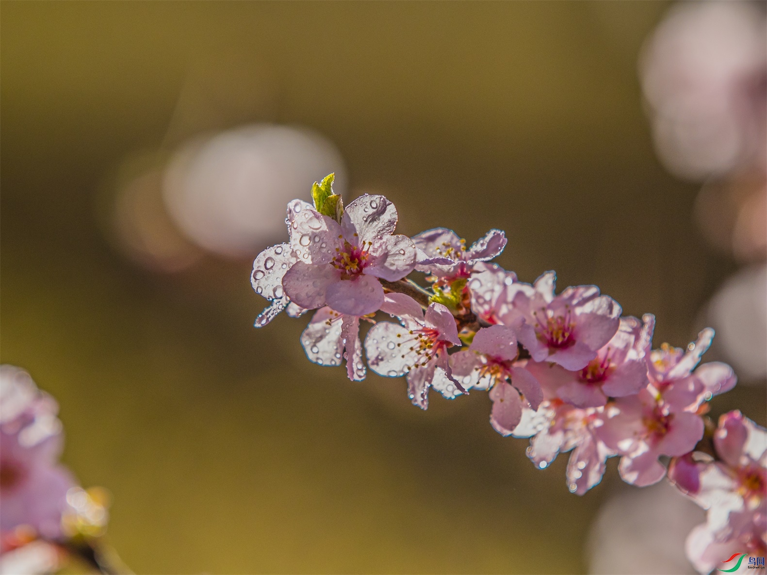 CY4A6926 ����1.jpg