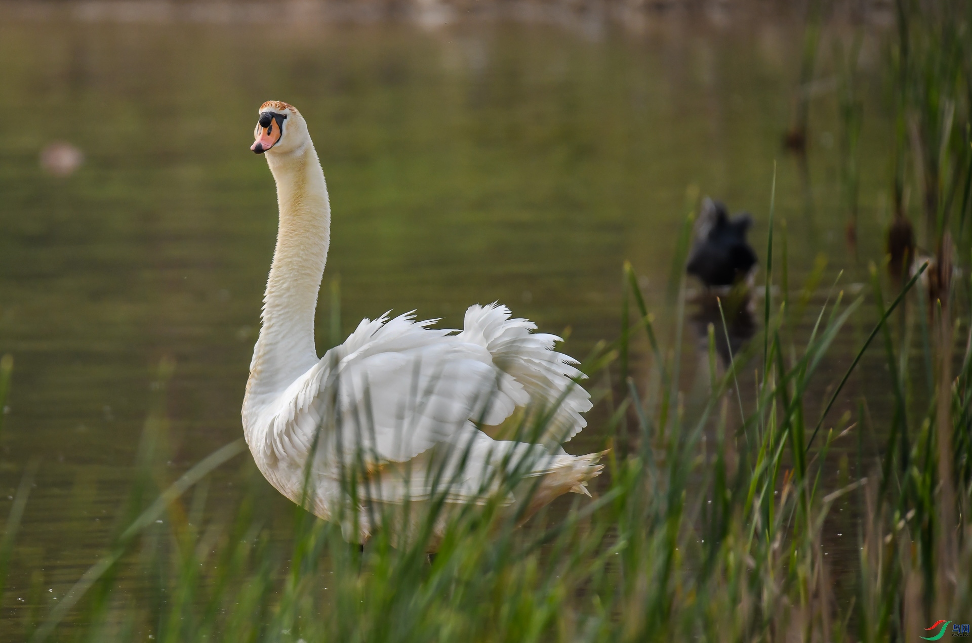 DSC_7734.jpg