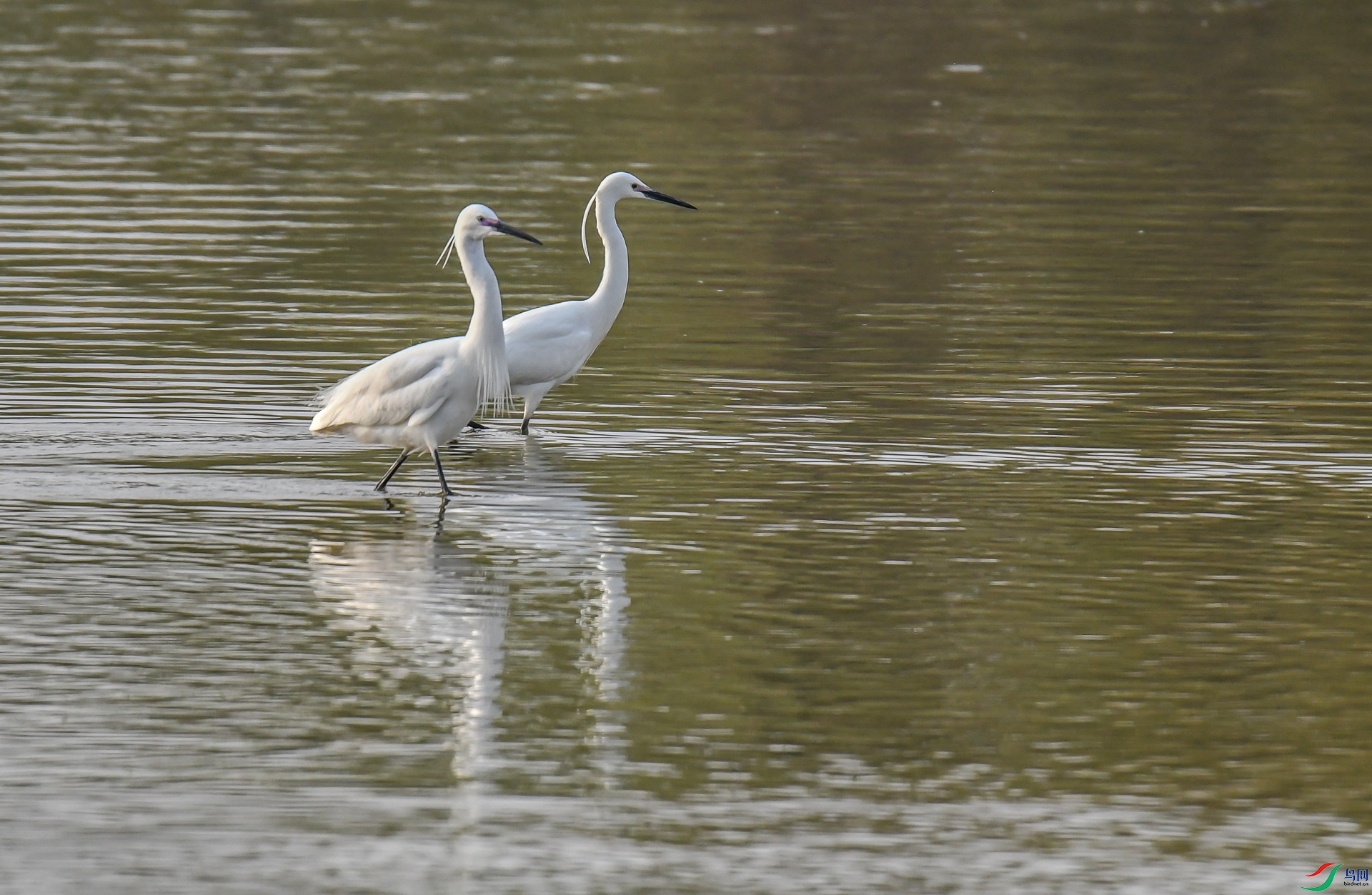 DSC_1105.jpg