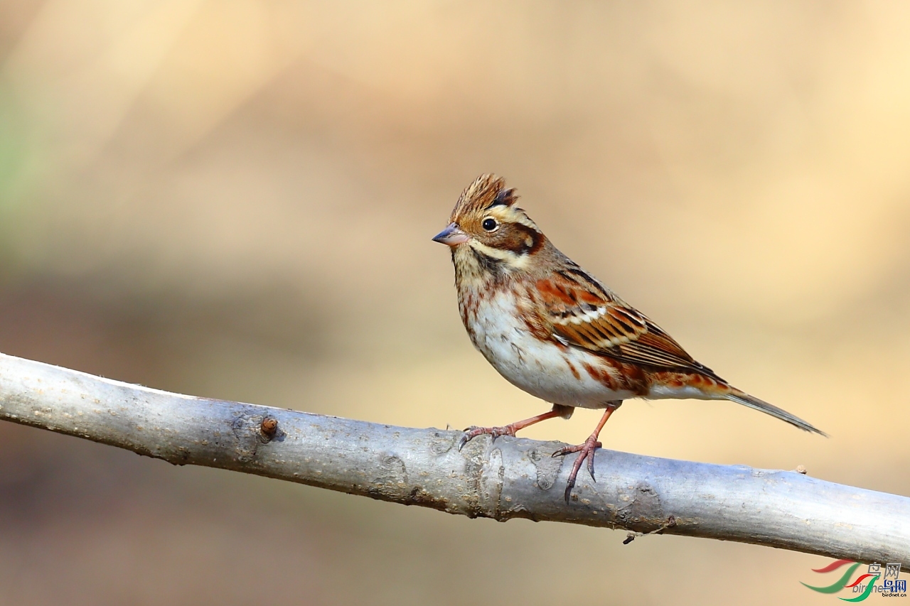 F6.7  ��ʦ����������ʡ�������躣��.jpg