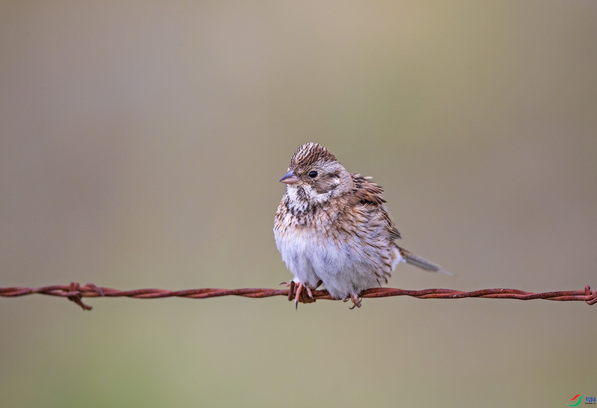 zhj926888  ��ʦ�����ڸ���ʡ��Ҵ�и�̨��.jpg