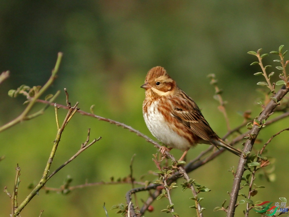 ��������  ��ʦ������ɽ��ʡ������.jpg