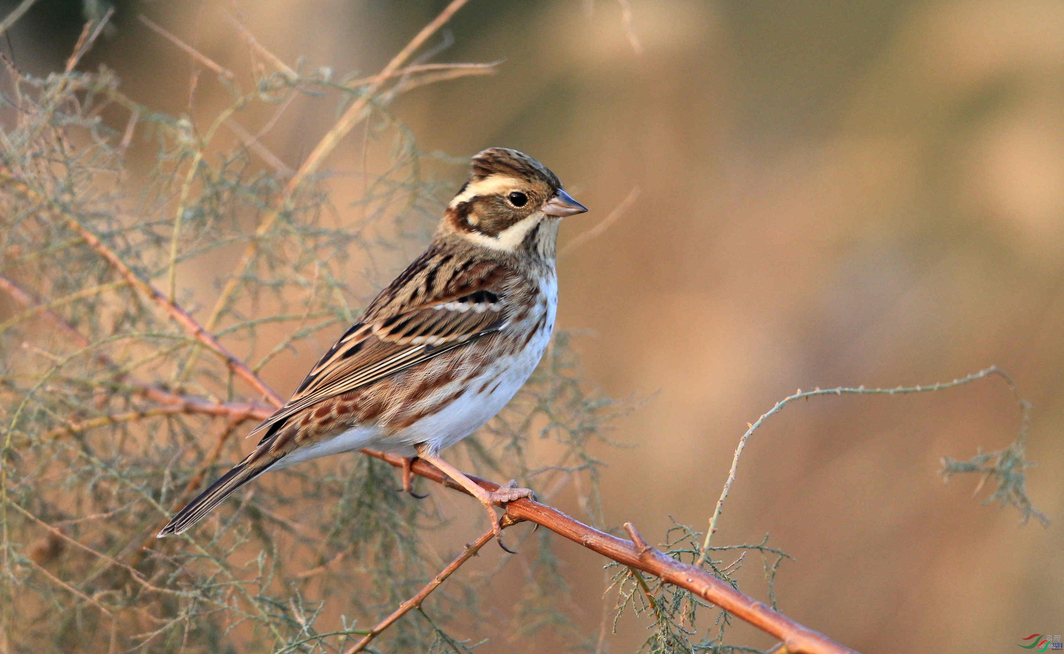 ũ�ҵ���  ��ʦ������ɽ��ʡΫ���в�����.jpg