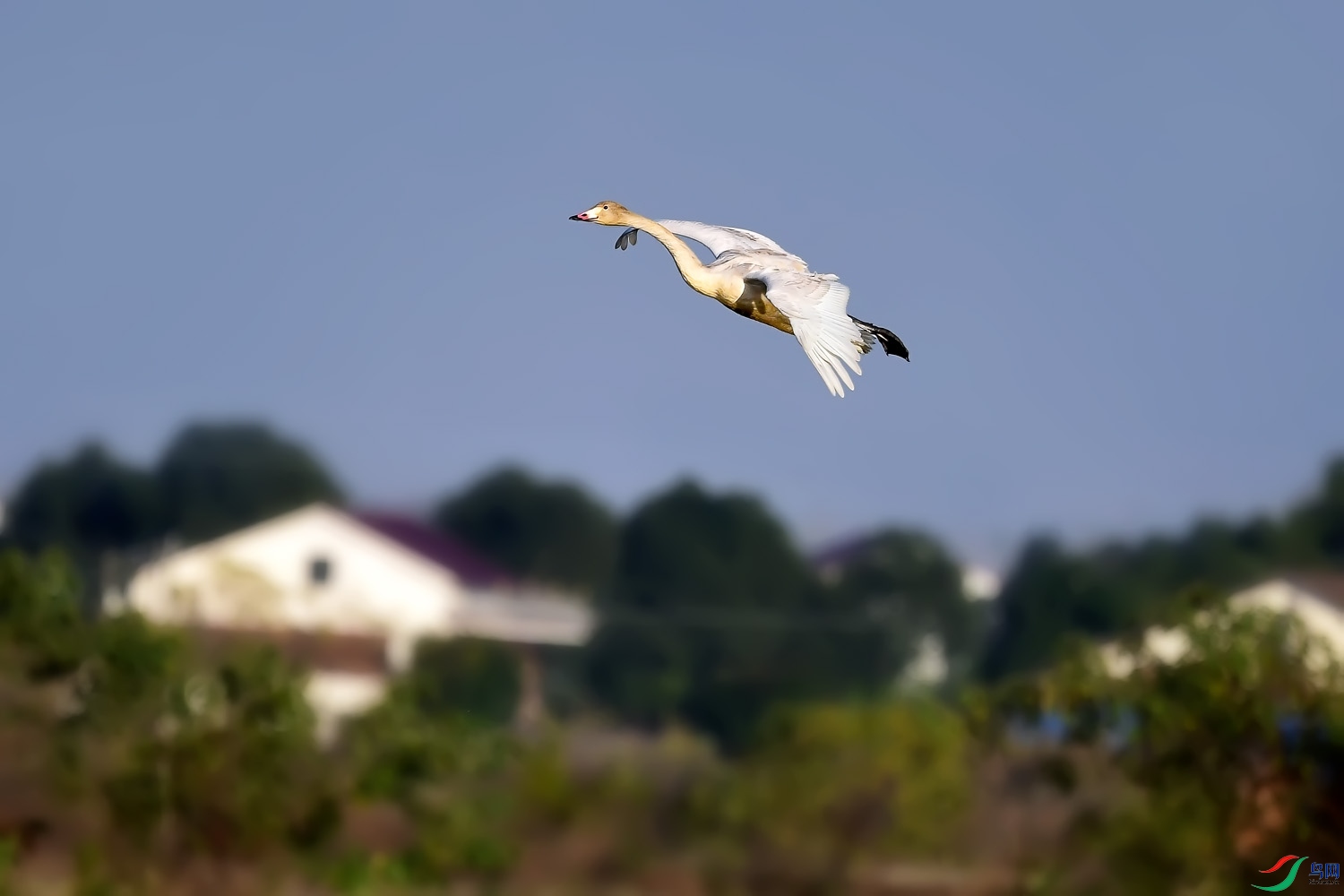 DSC_4878.jpg
