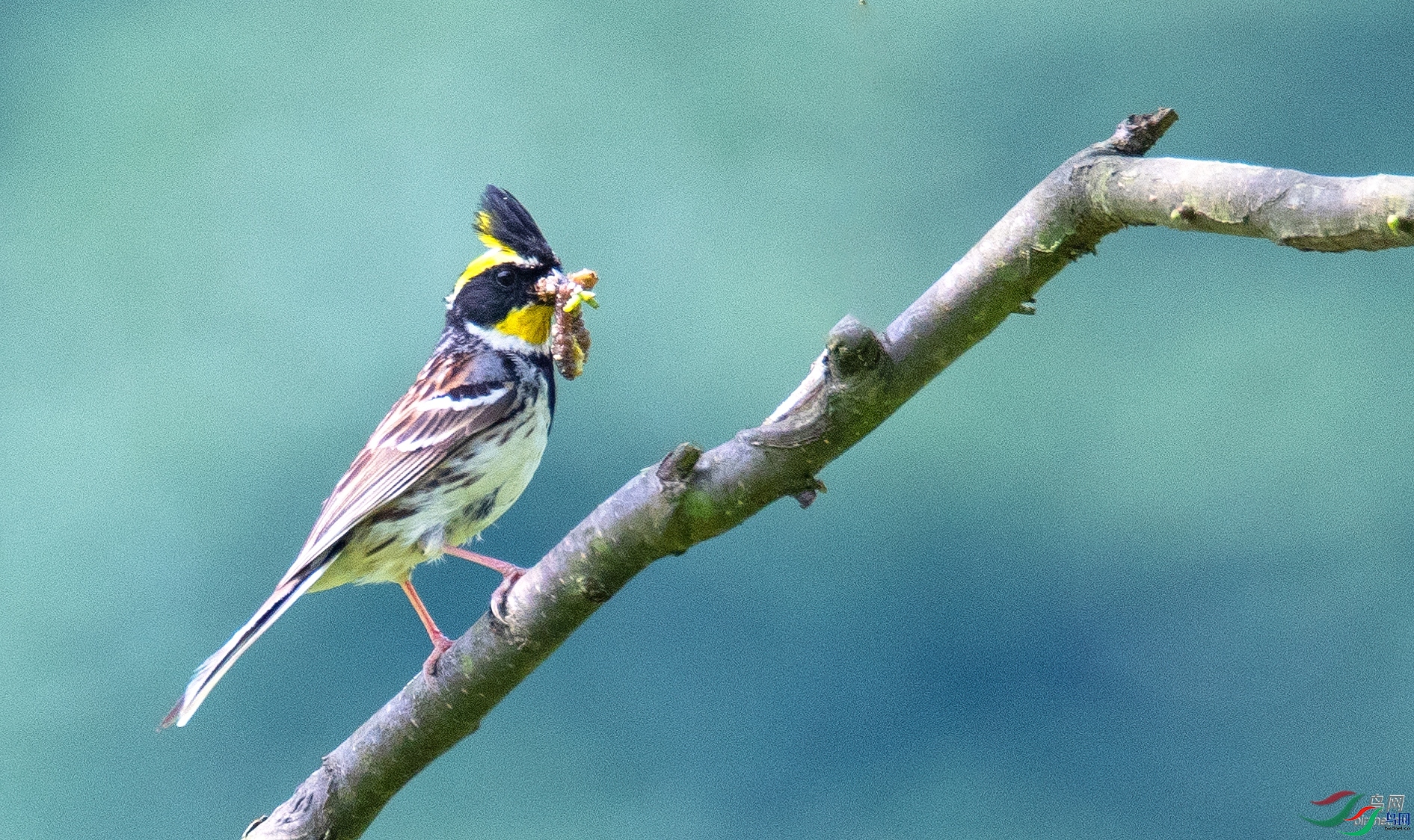 CQ_���  ��ʦ�����������зᶼ��.jpg