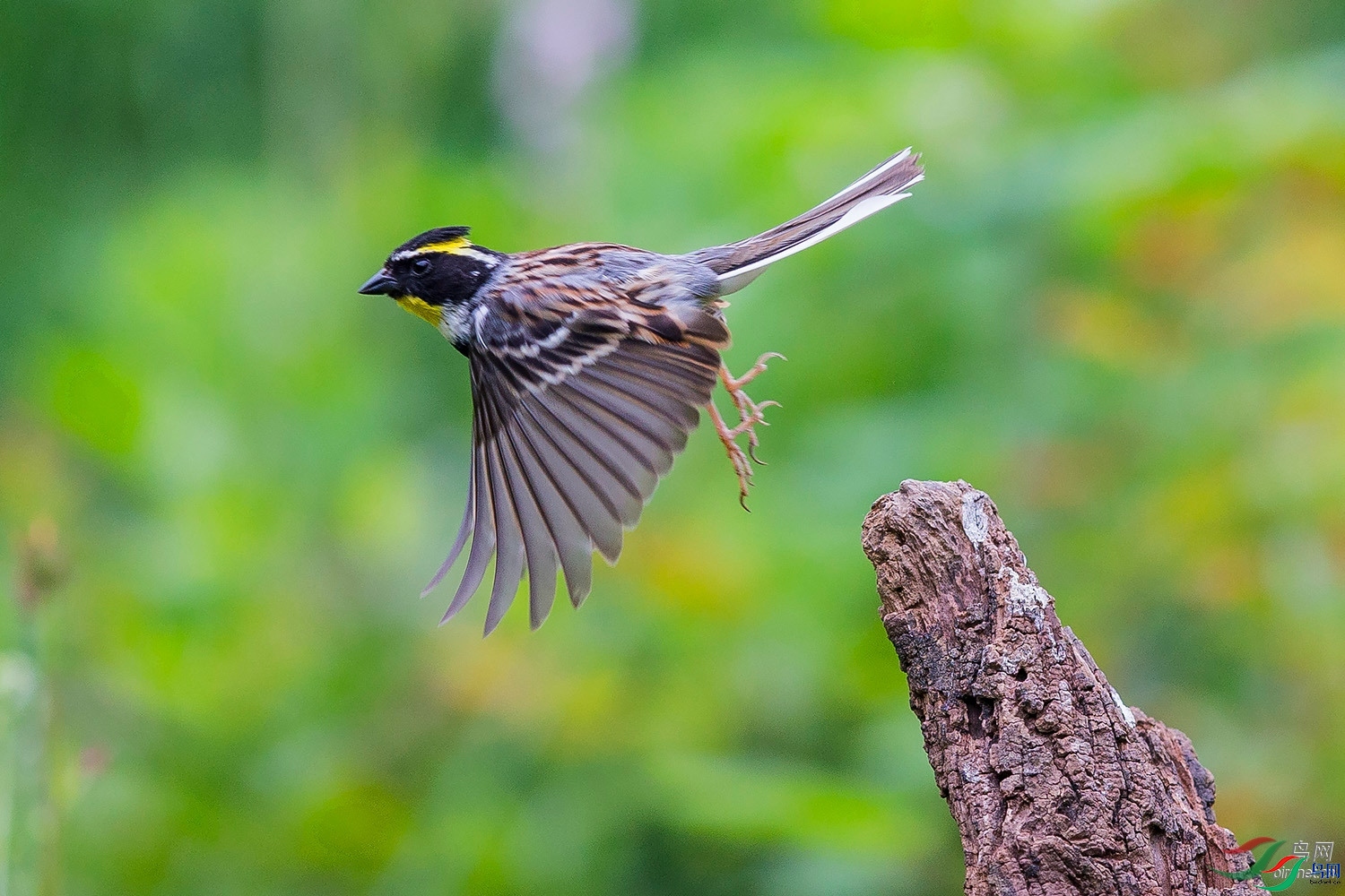 ���˰���  ��ʦ����������ʡ��ɽ���ڳ���.jpg