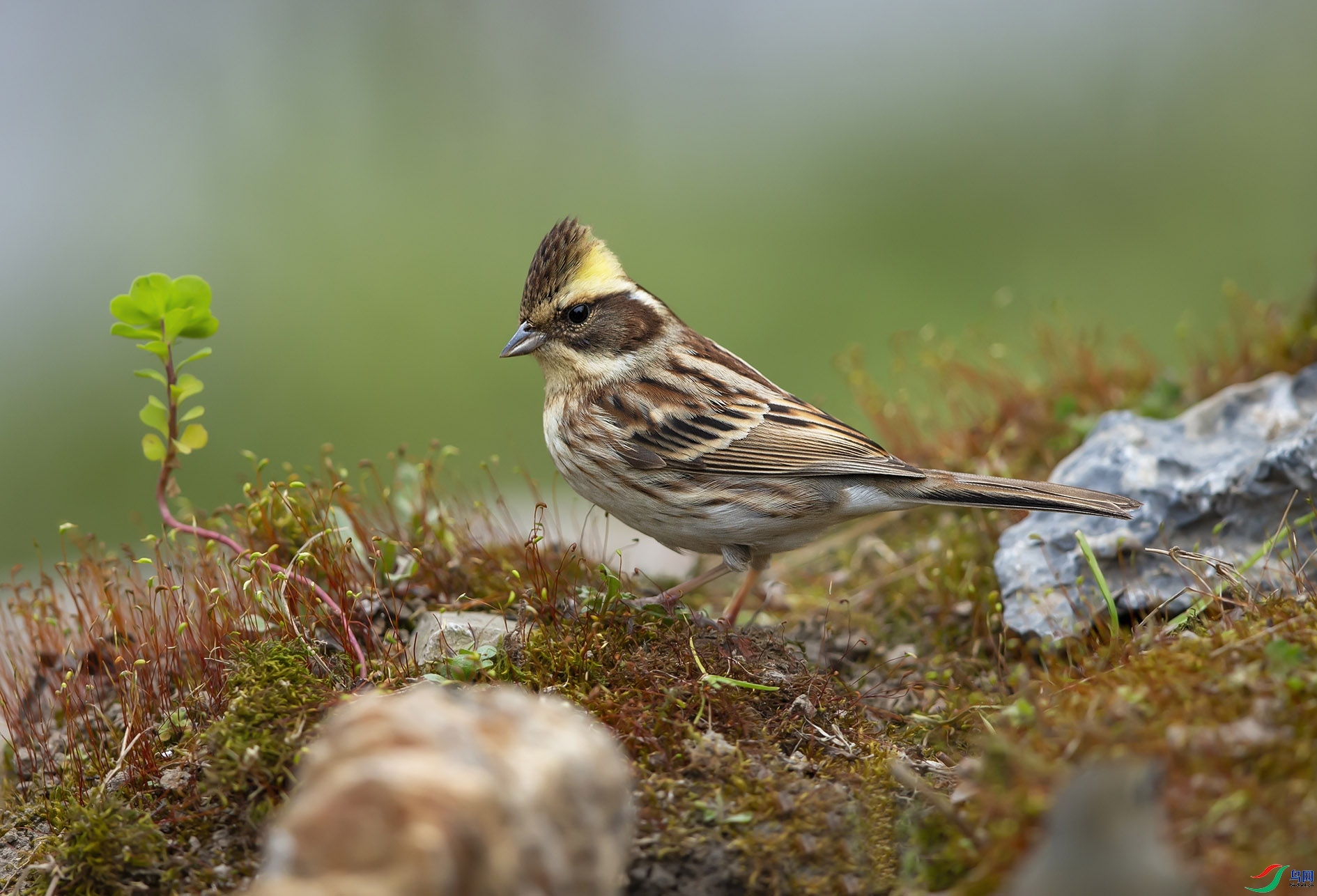 ȸ����Ӱ  ��ʦ�������Ϻ����ϻ���.jpg