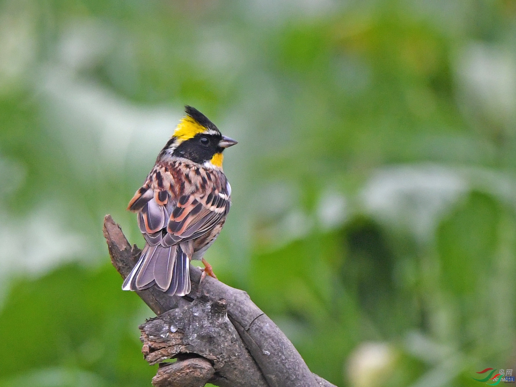 ����ӭ��  ��ʦ�����ں���ʡƽ��ɽ��³ɽ��.jpg