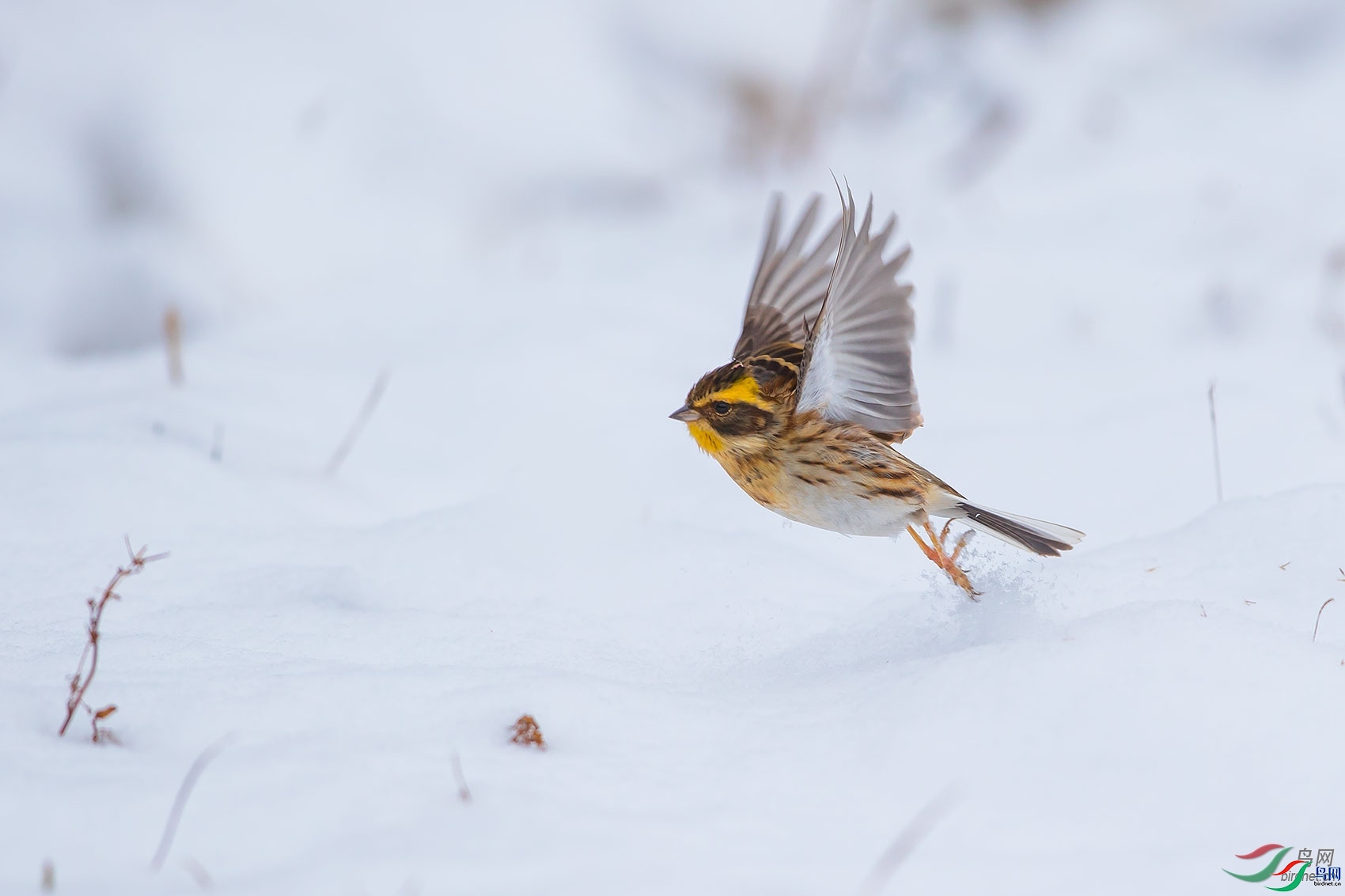 κΡ����  ��ʦ����������ʡ����������.jpg