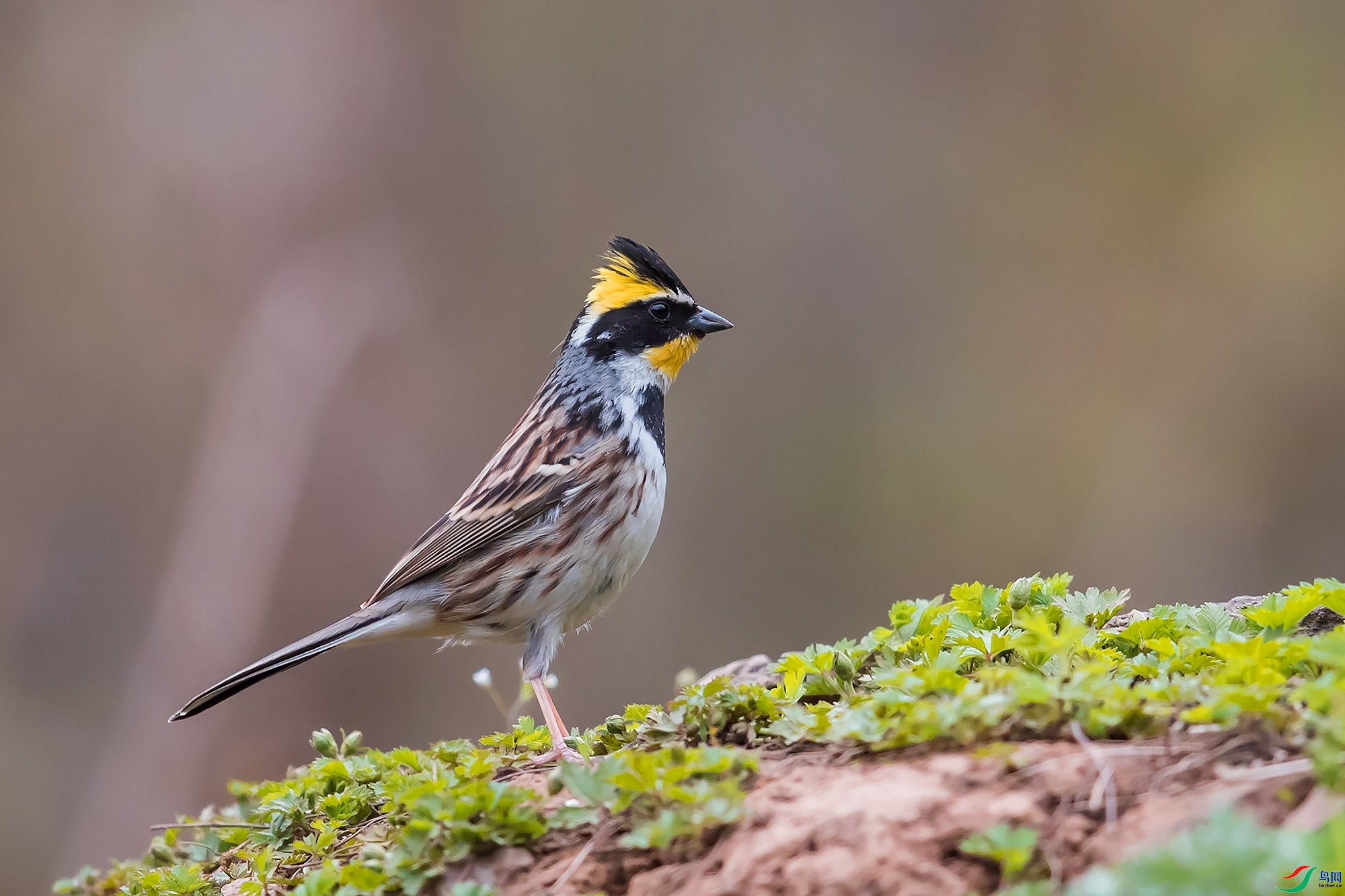 ɽɽɽ  ��ʦ����������ʡ����������.jpg