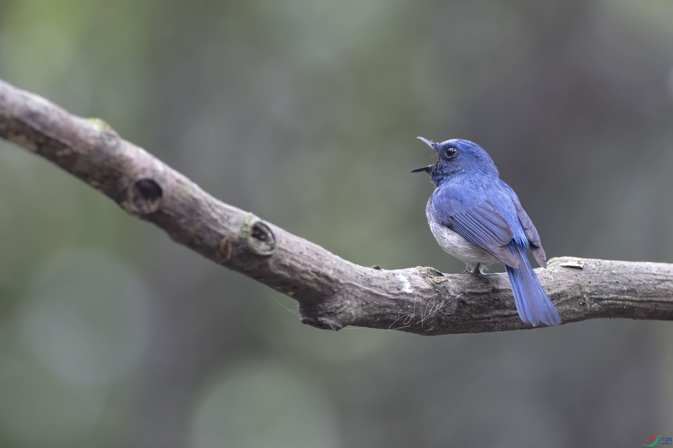 _R5_9740 ��ؐ.jpg