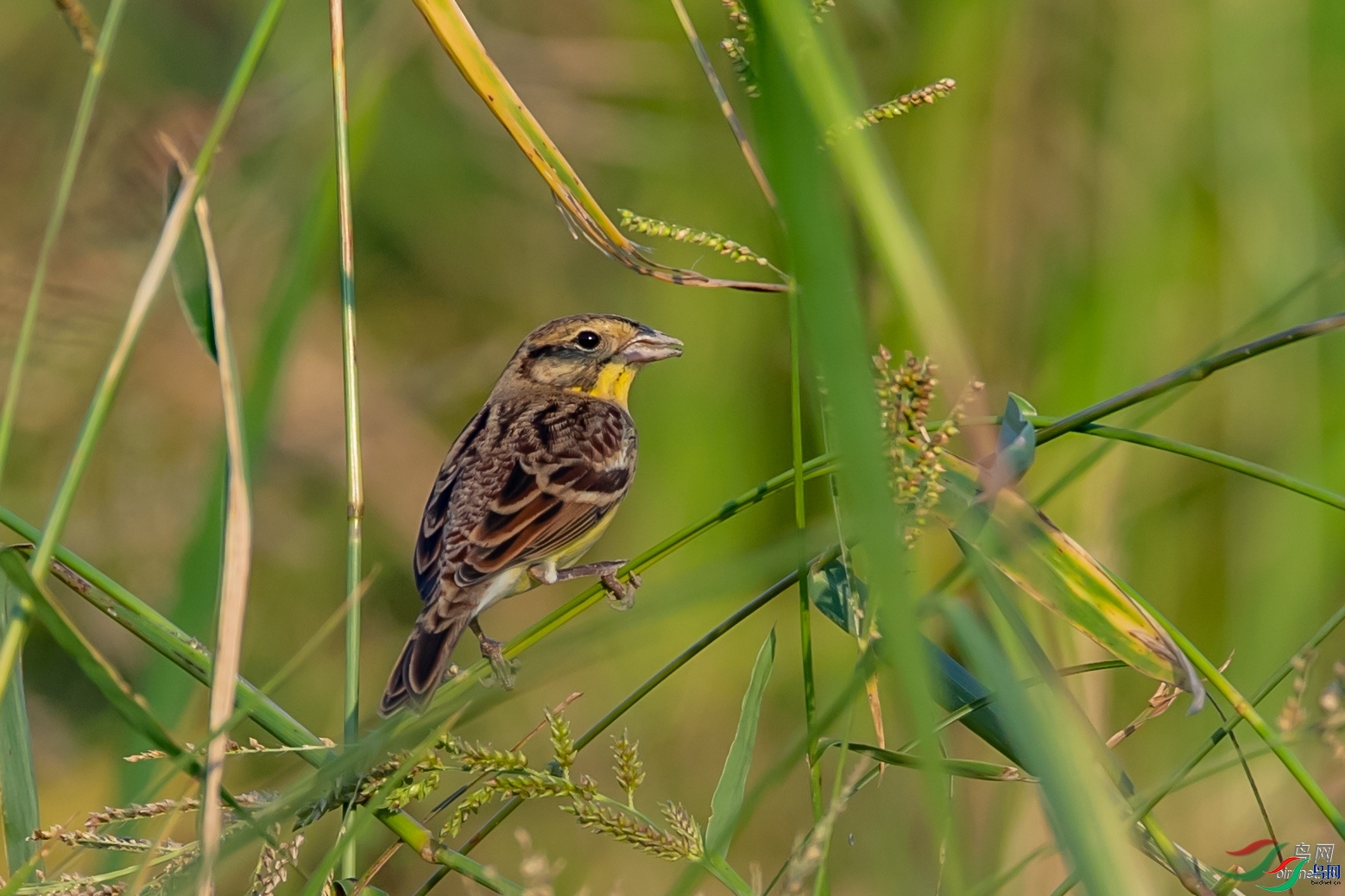 ����  ��ʦ�����ں���ʡ������.jpg