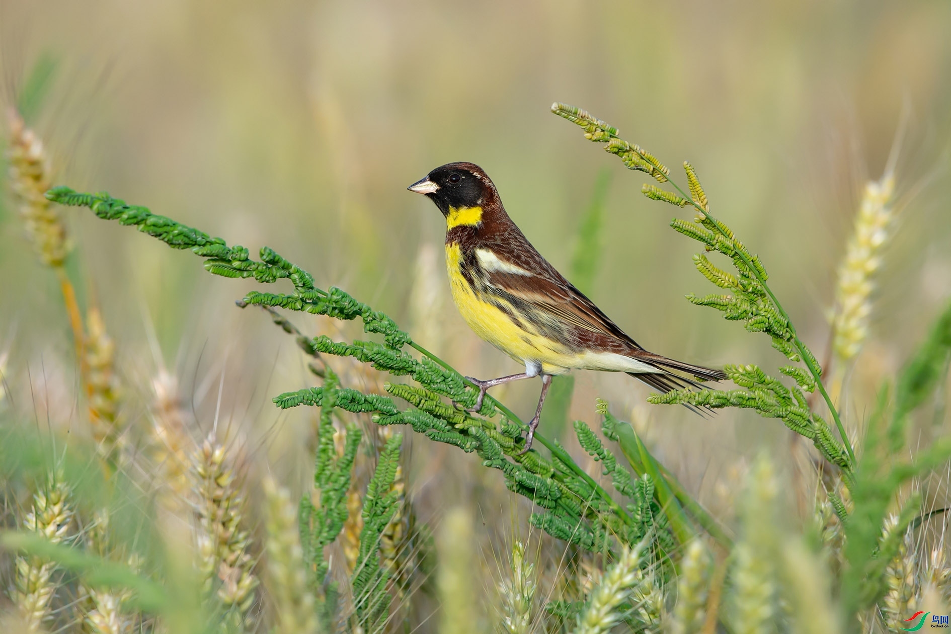 ȸ����Ӱ  ��ʦ�������㽭ʡ������.jpg