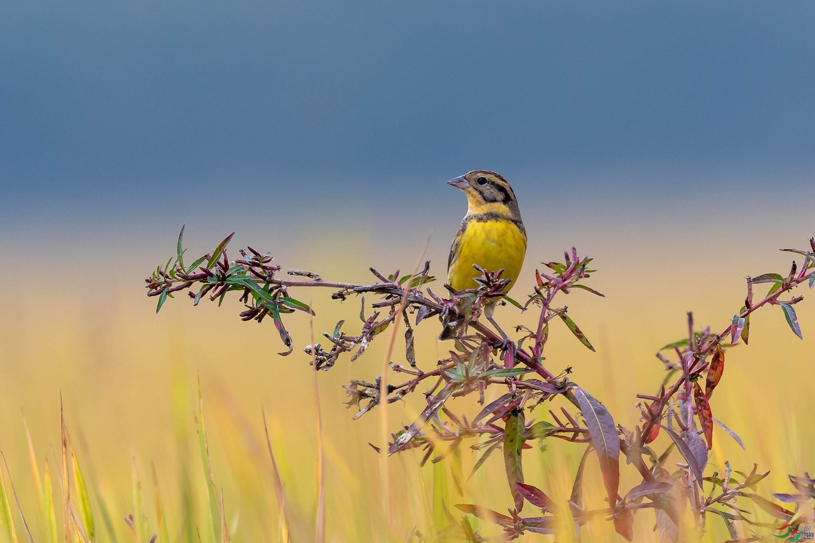 ��������  ��ʦ�����ں���ʡ������.jpg