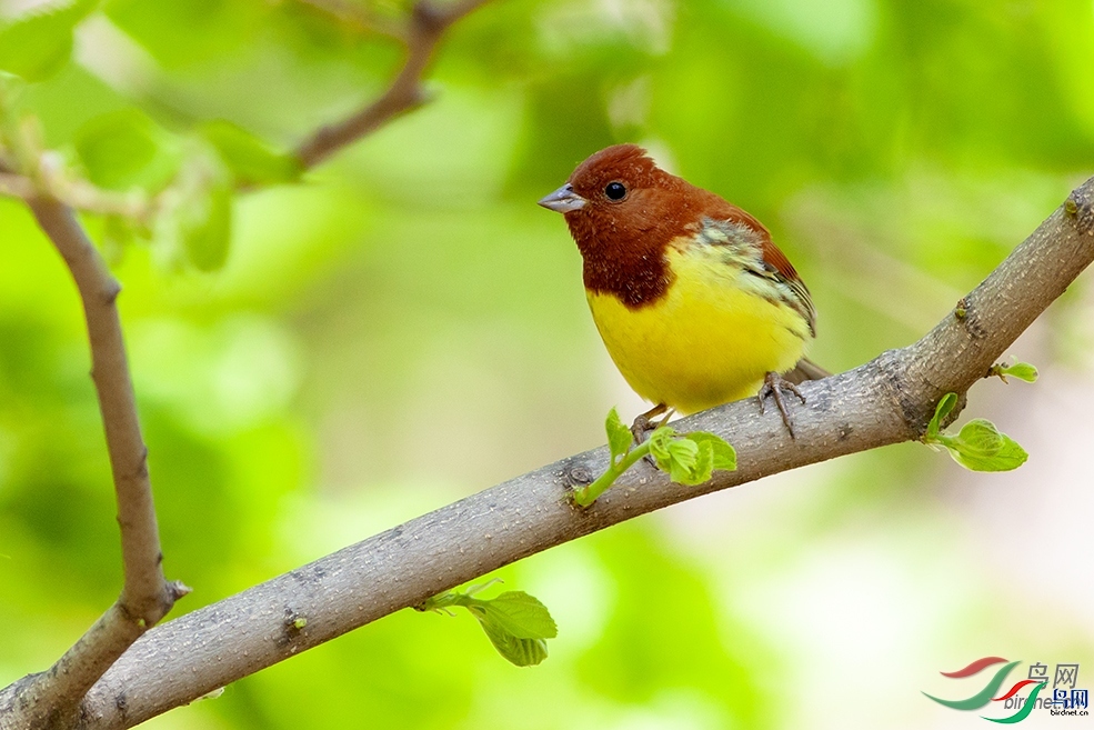 Ұâ  ��ʦ����������ʡ�����б�����.jpg