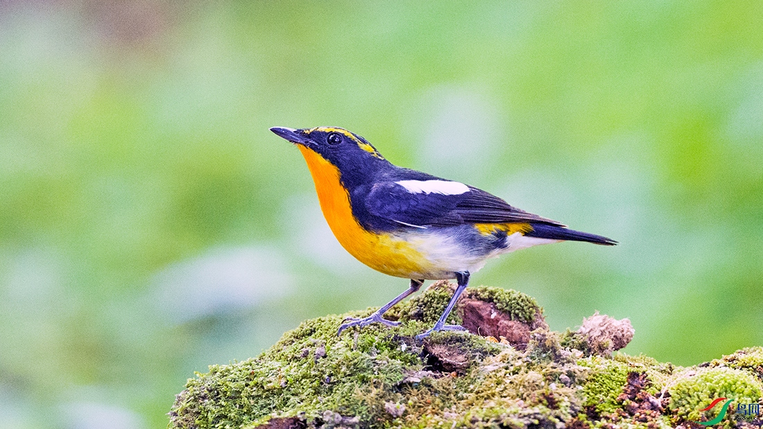 ��_DSC7308.jpg