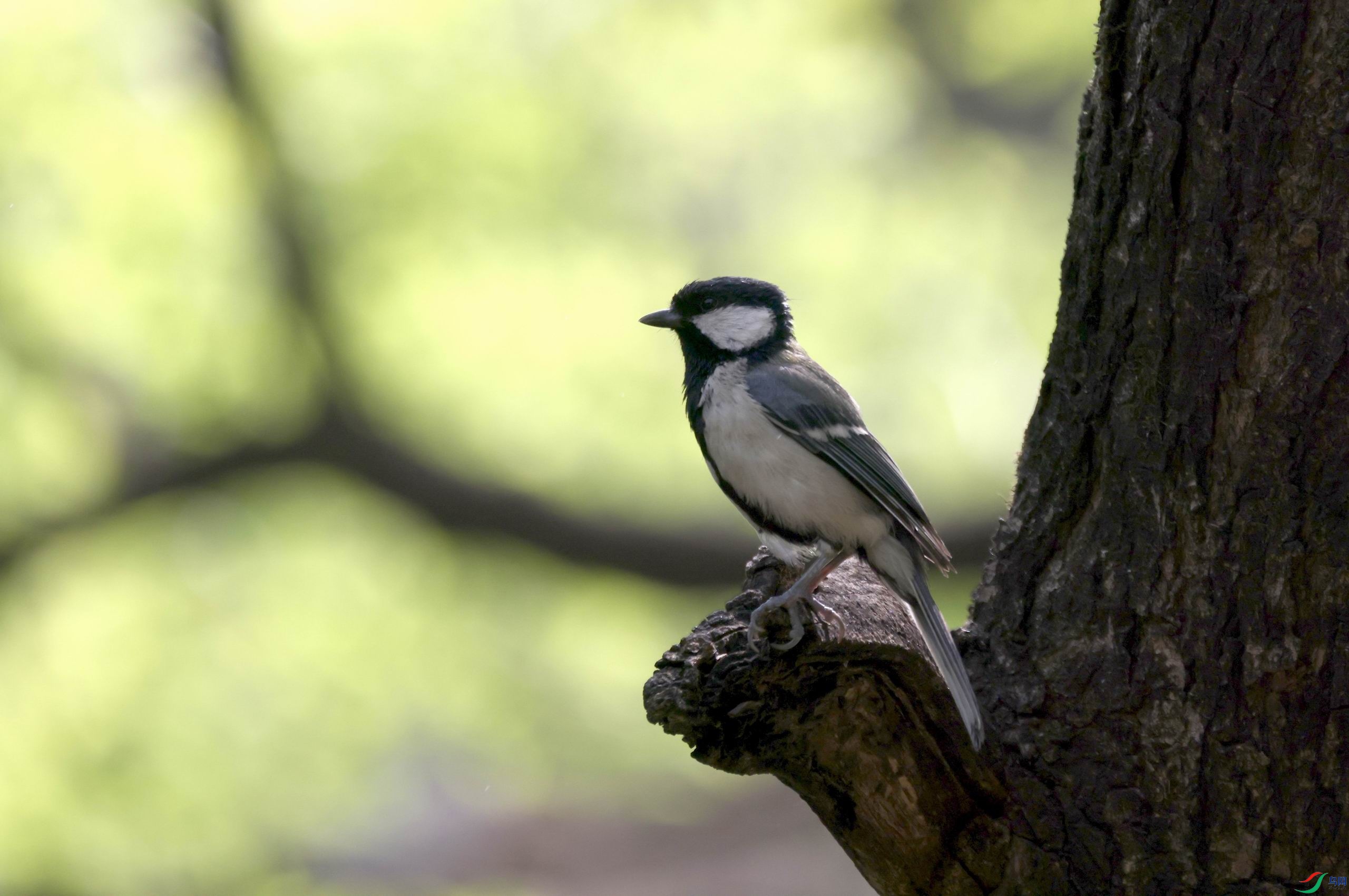 ������С �����ع� 0E5A4937.JPG