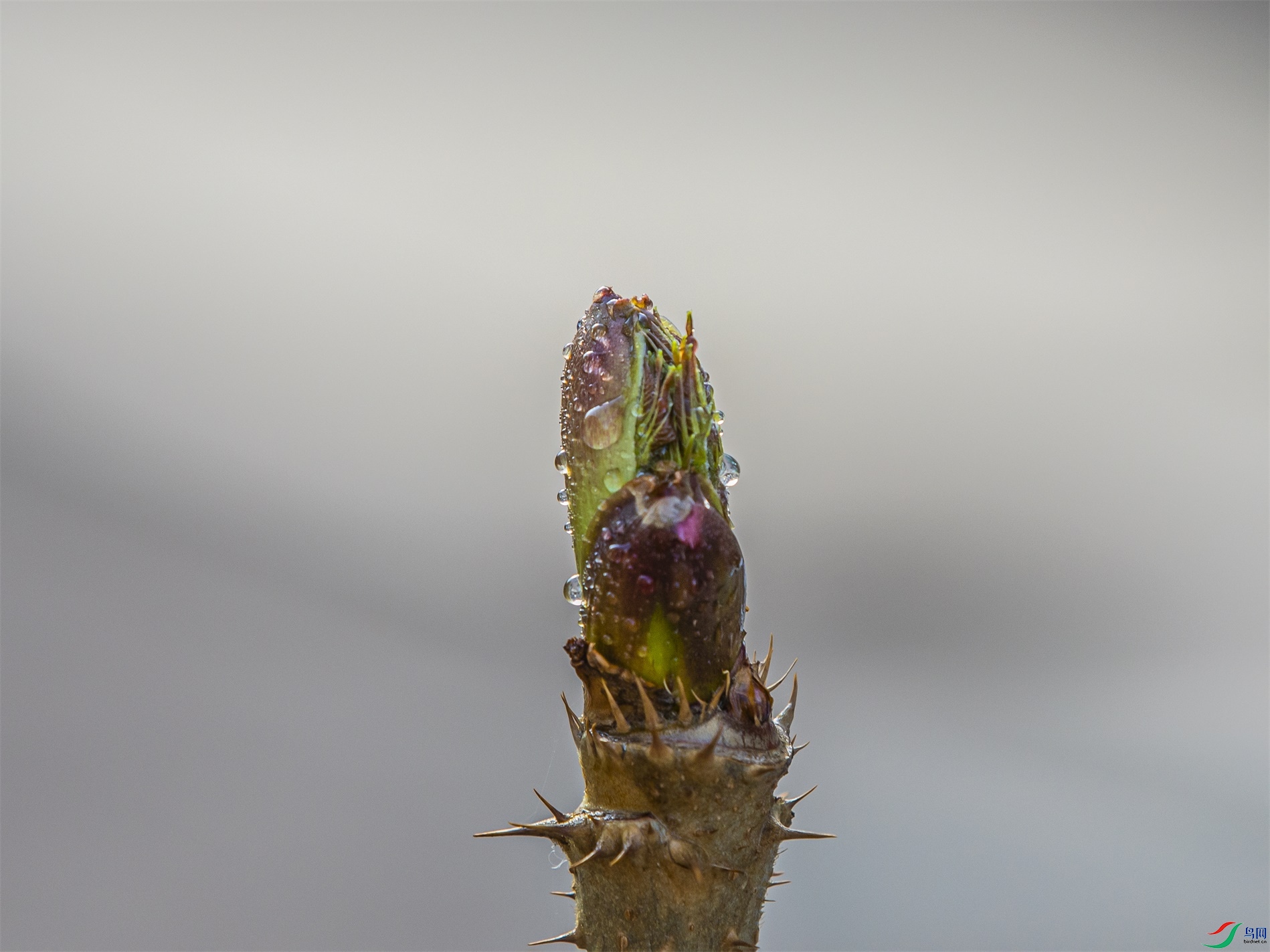 CY4A6957 ����1.jpg