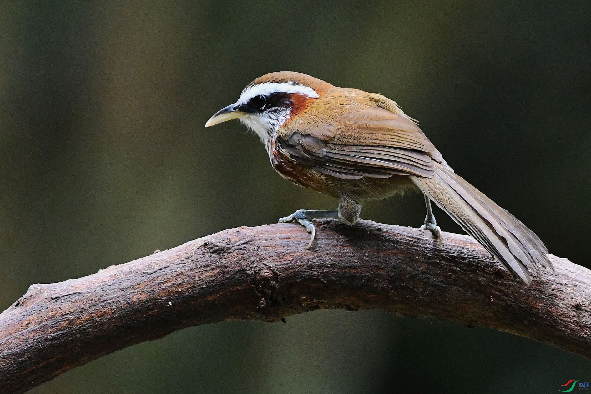 NIKON D5001440_����.jpg