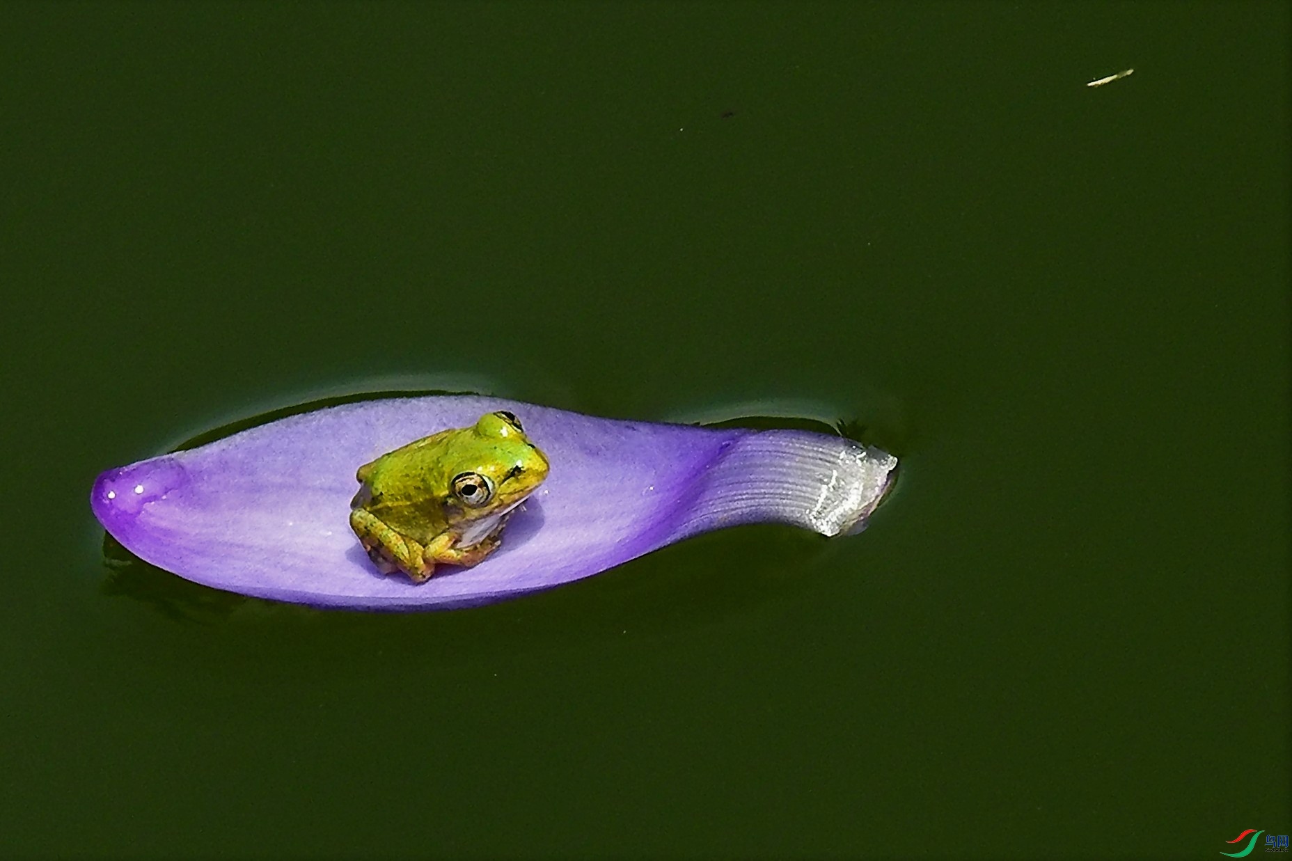 DSCN2733.JPG