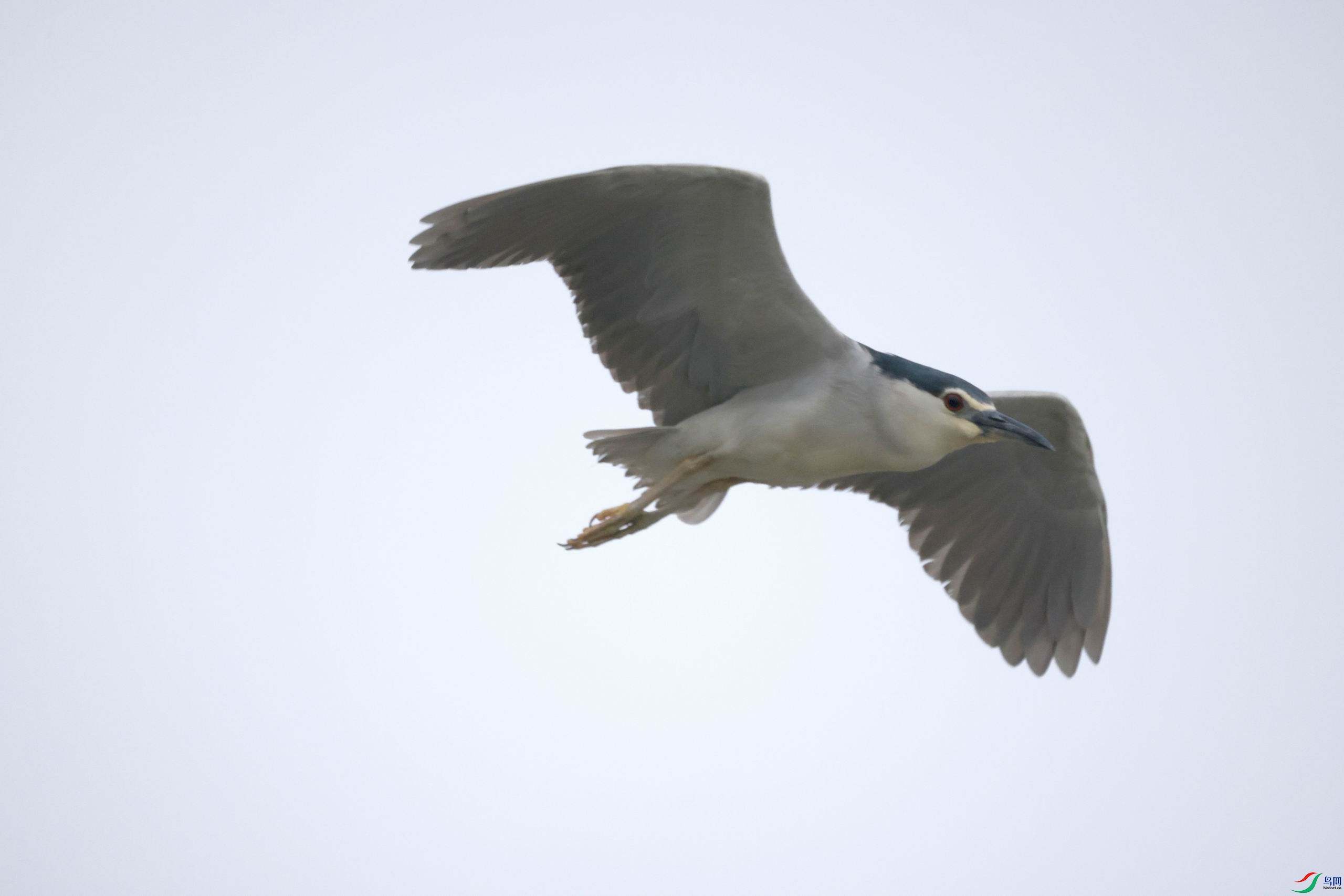 ������С �����ع� 0E5A5104.JPG