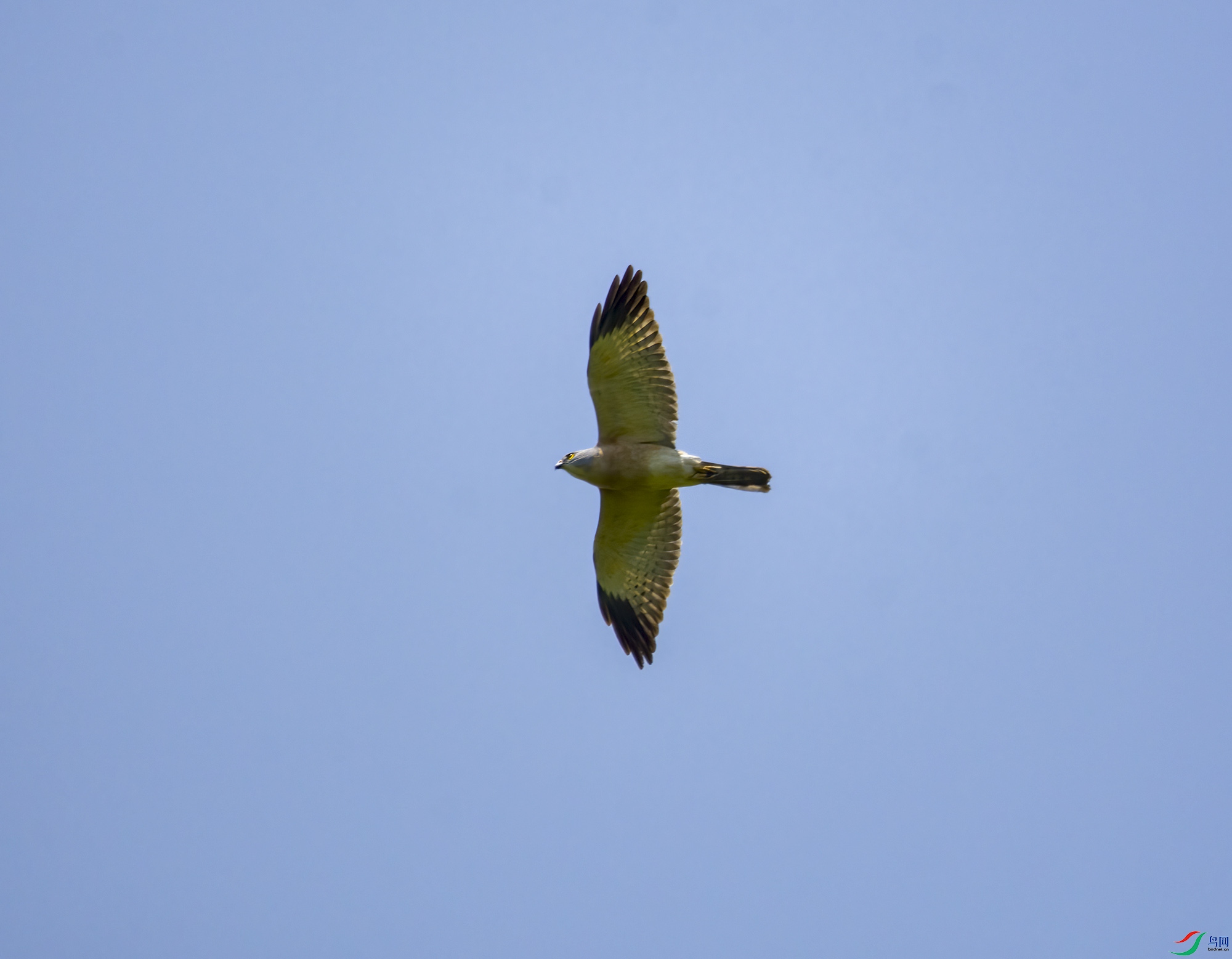 DSC_3026.jpg