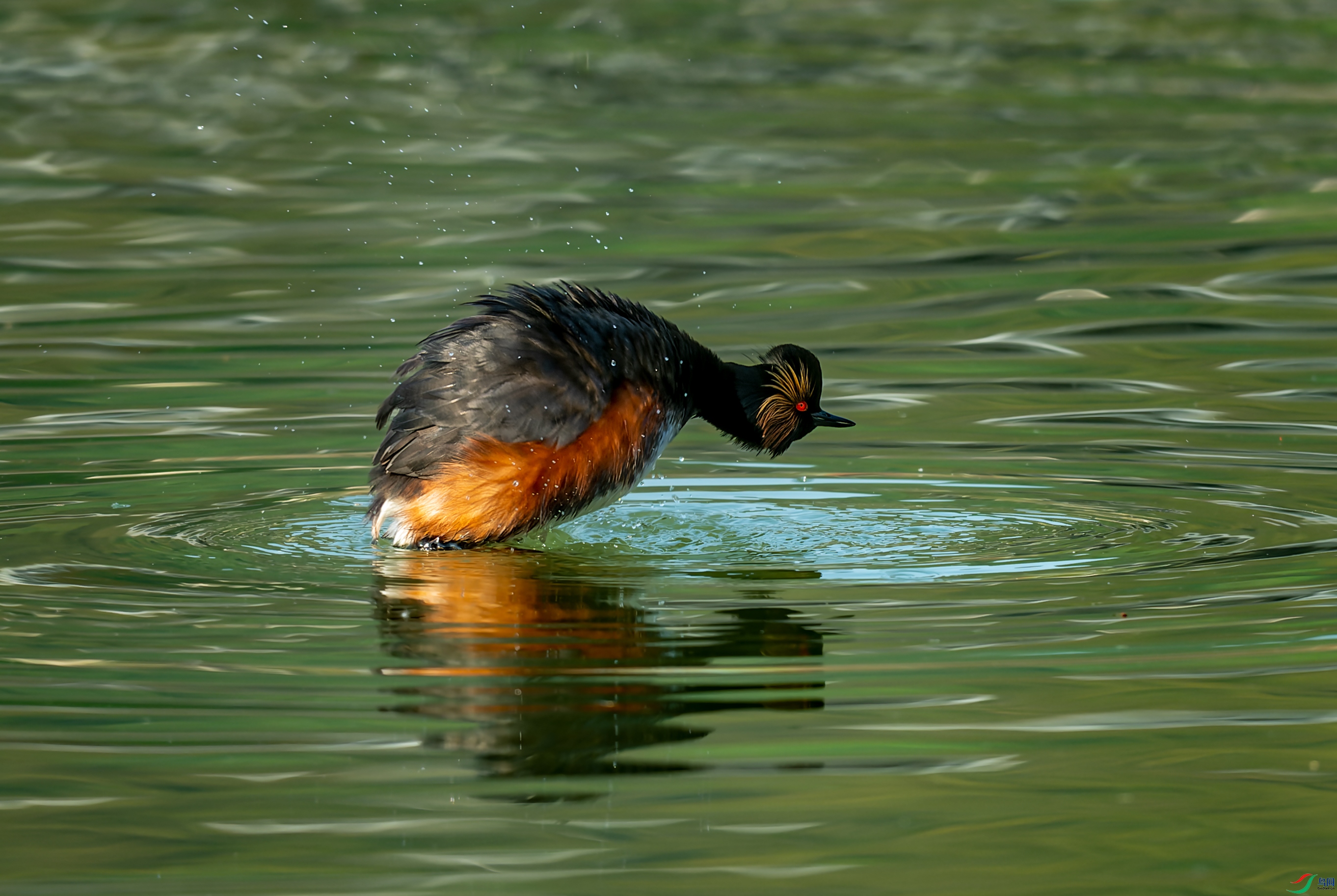 DSC_4279-NEF_DxO_DeepPRIME.jpg
