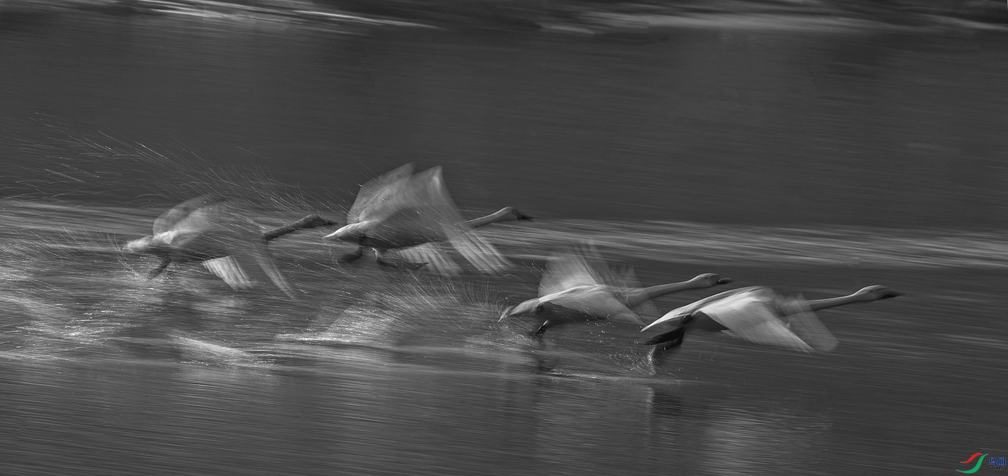 DSC_8861tth.jpg