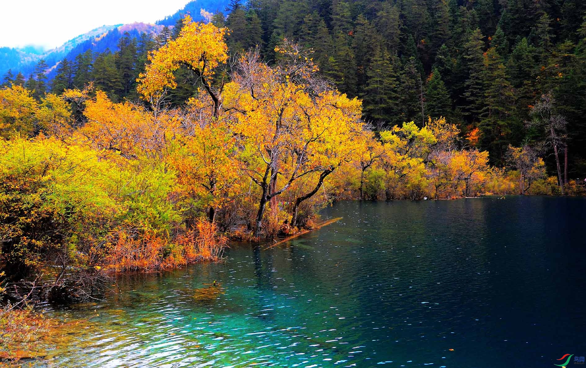 ��կ�� 350.jpg