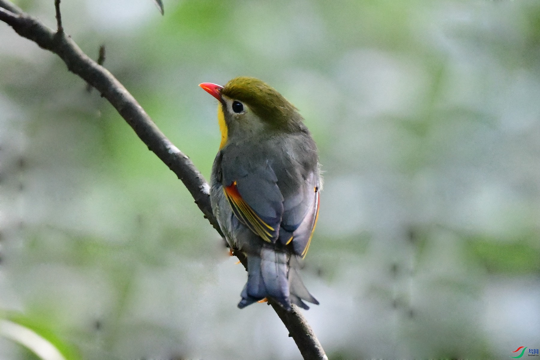 DSC_7660_�����Ĵ�.jpg