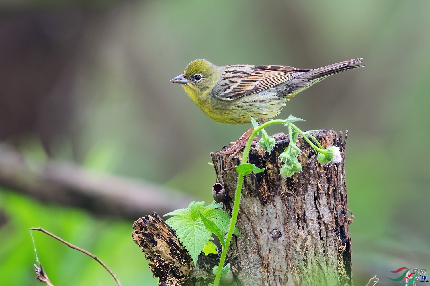 ��һ  ��ʦ�������Ϻ����ϻ���.jpg