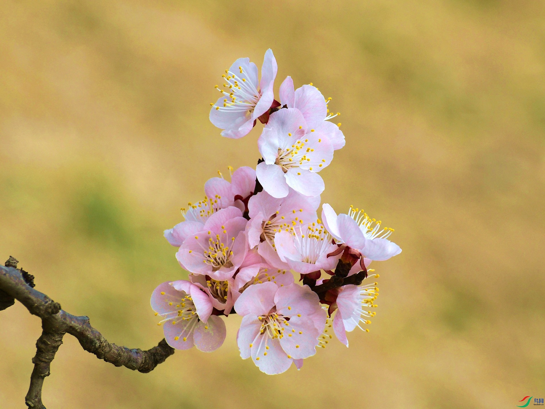 �����lݺ 307_����.jpg