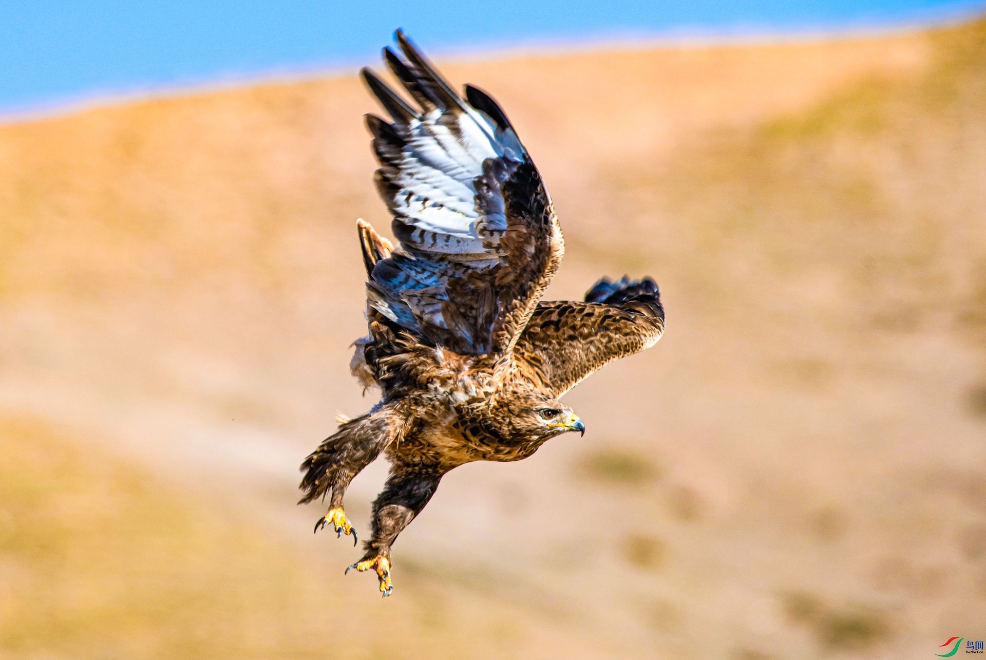 _DSC4788_����.jpg