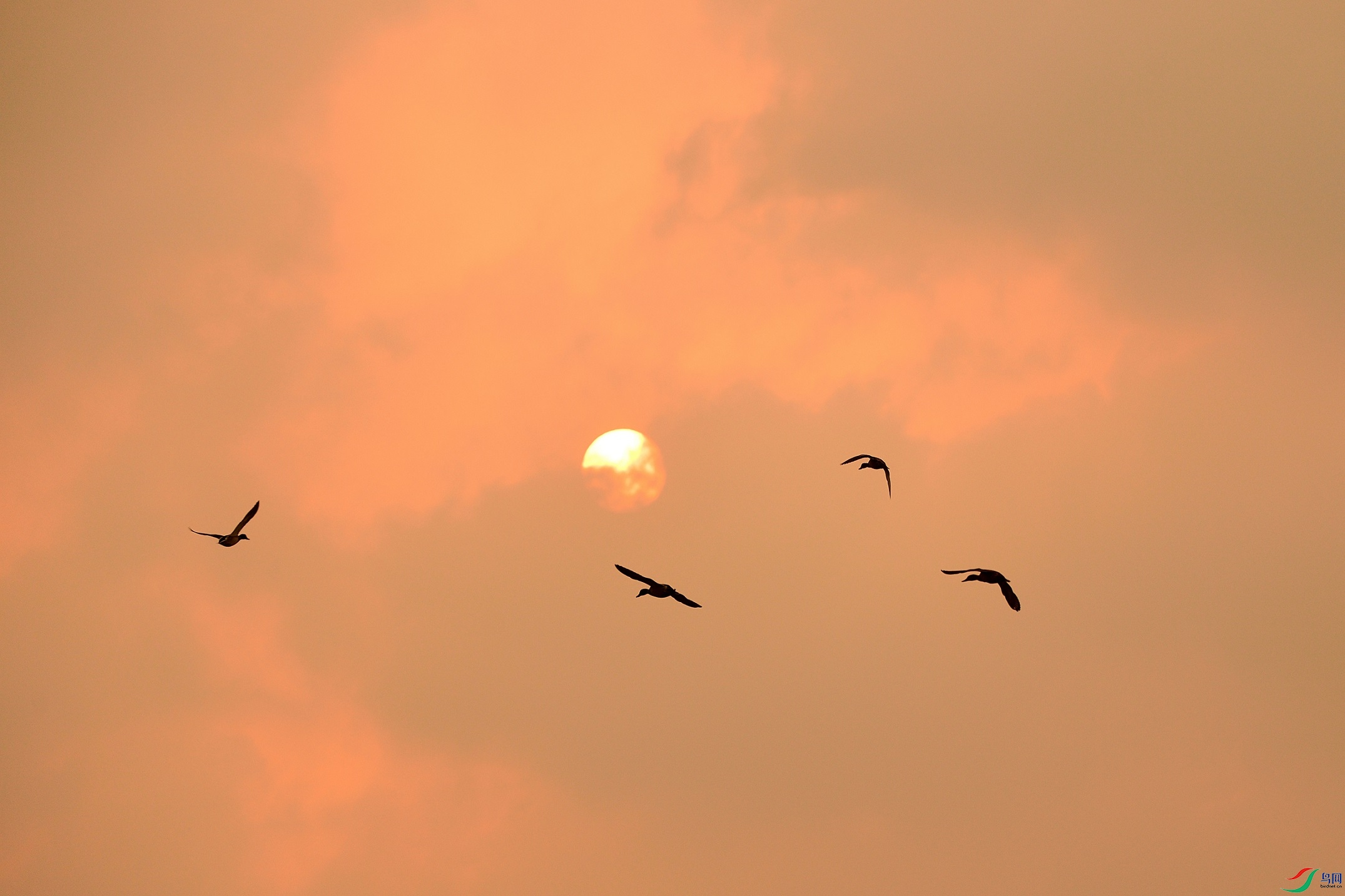 21N_8824_00001.jpg