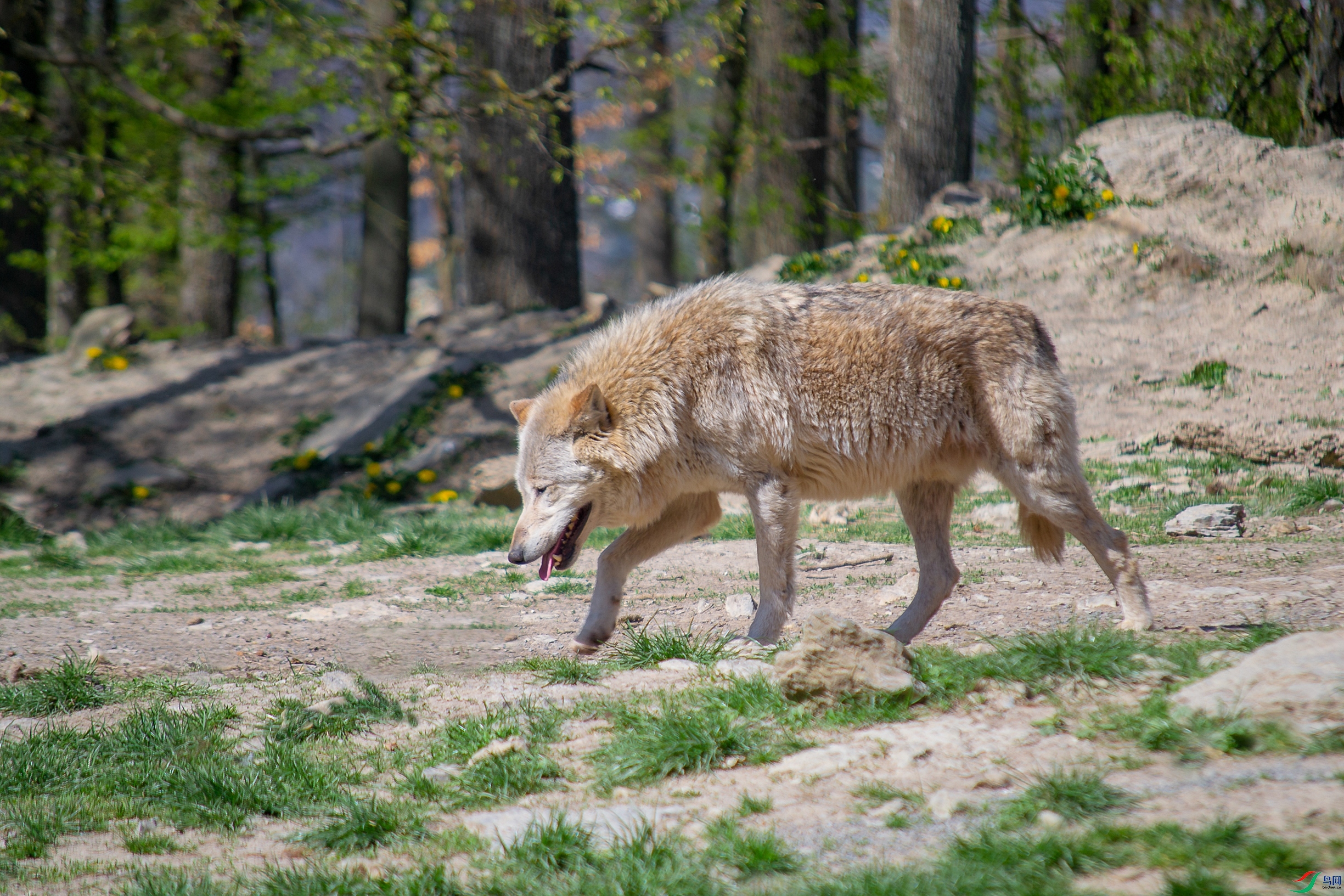 16.��-DSC_0012.JPG