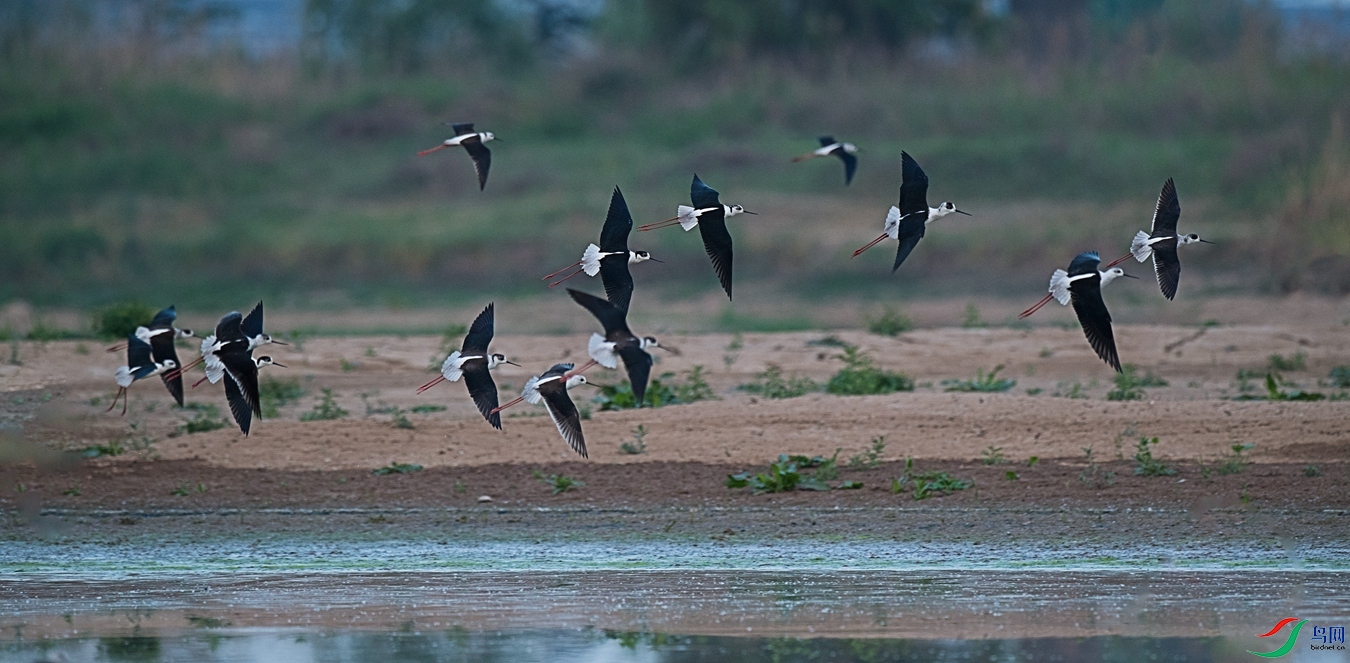 DSC_8366 - ����.jpg