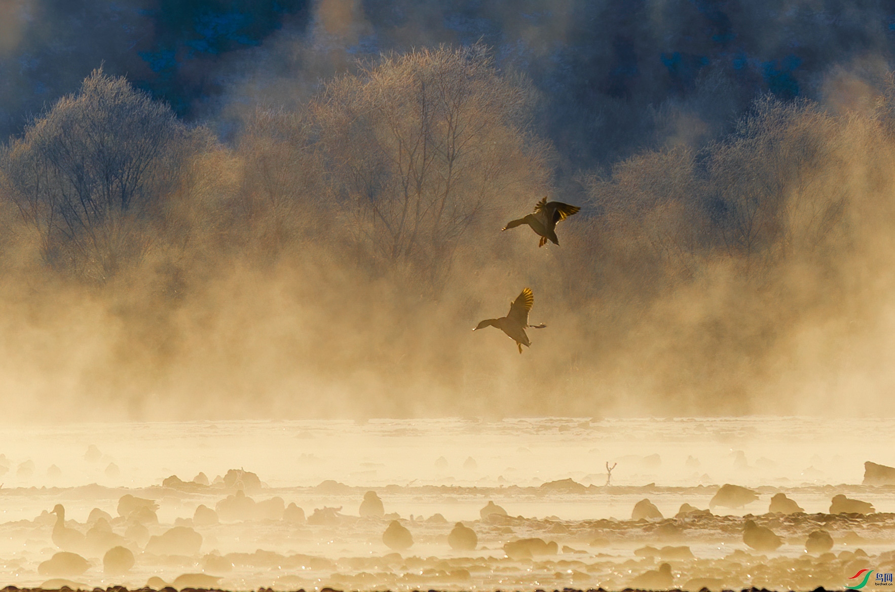 0D7A7537-2.jpg