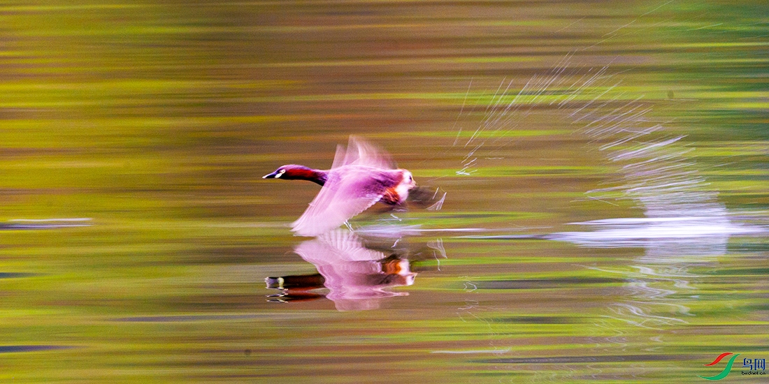 ��LPY_2652.jpg