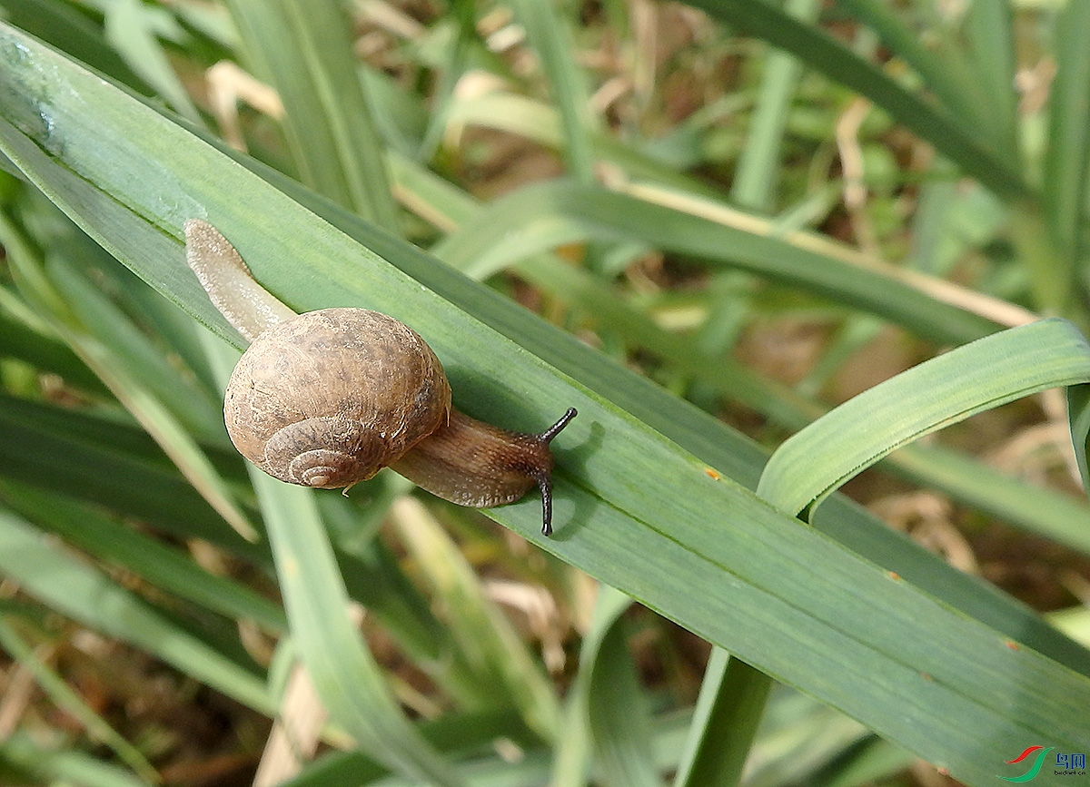 P4281112.jpg