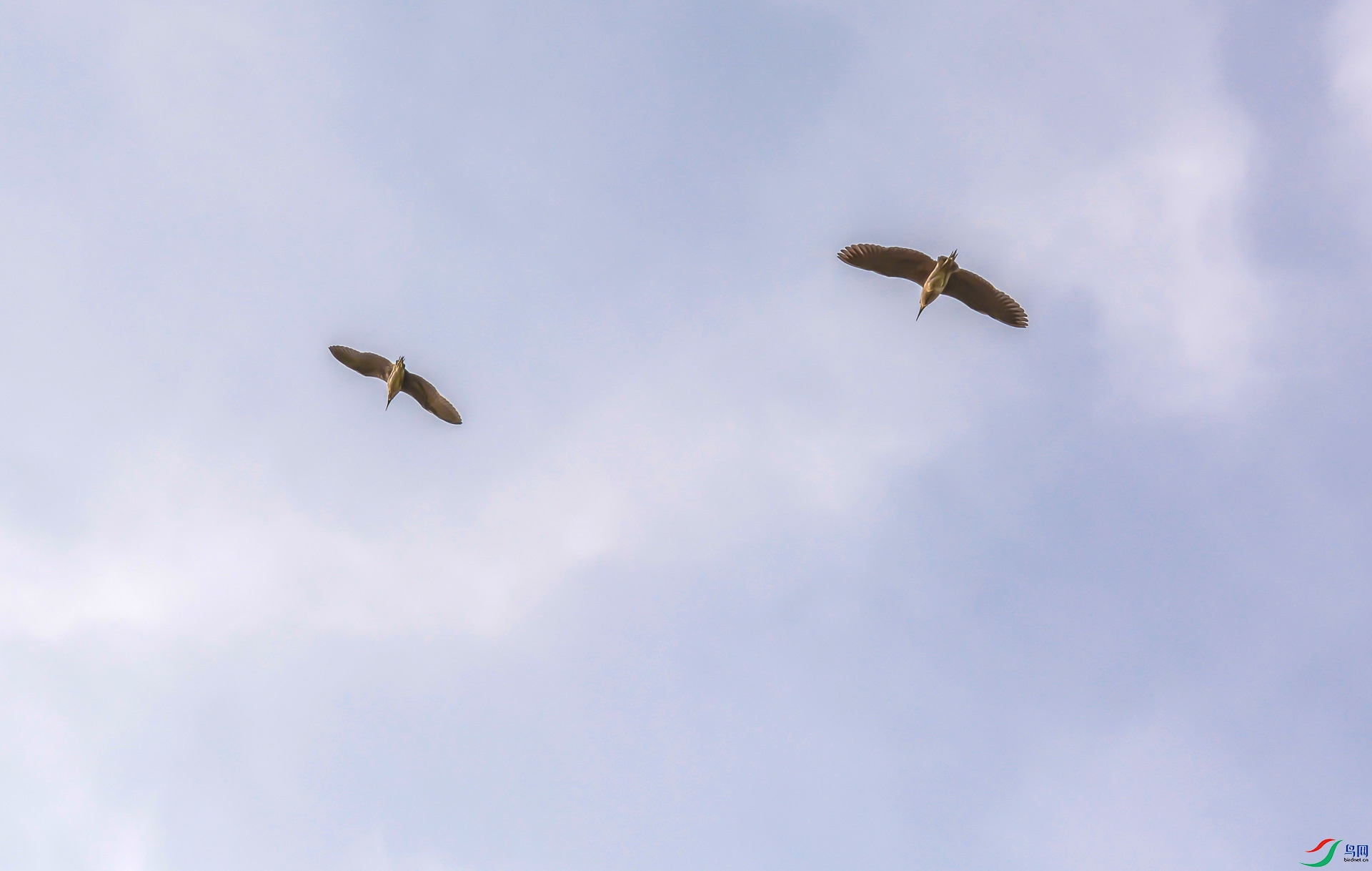 DSC_0150.jpg