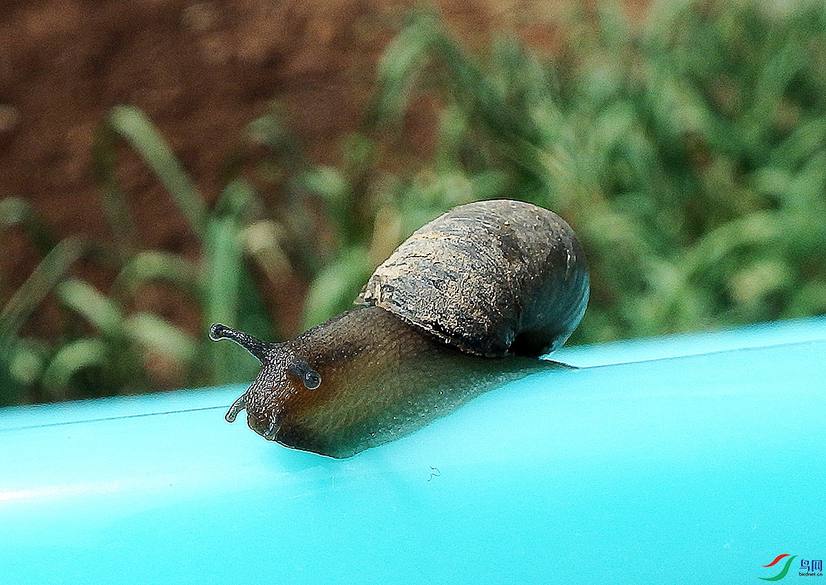 P4281121.jpg