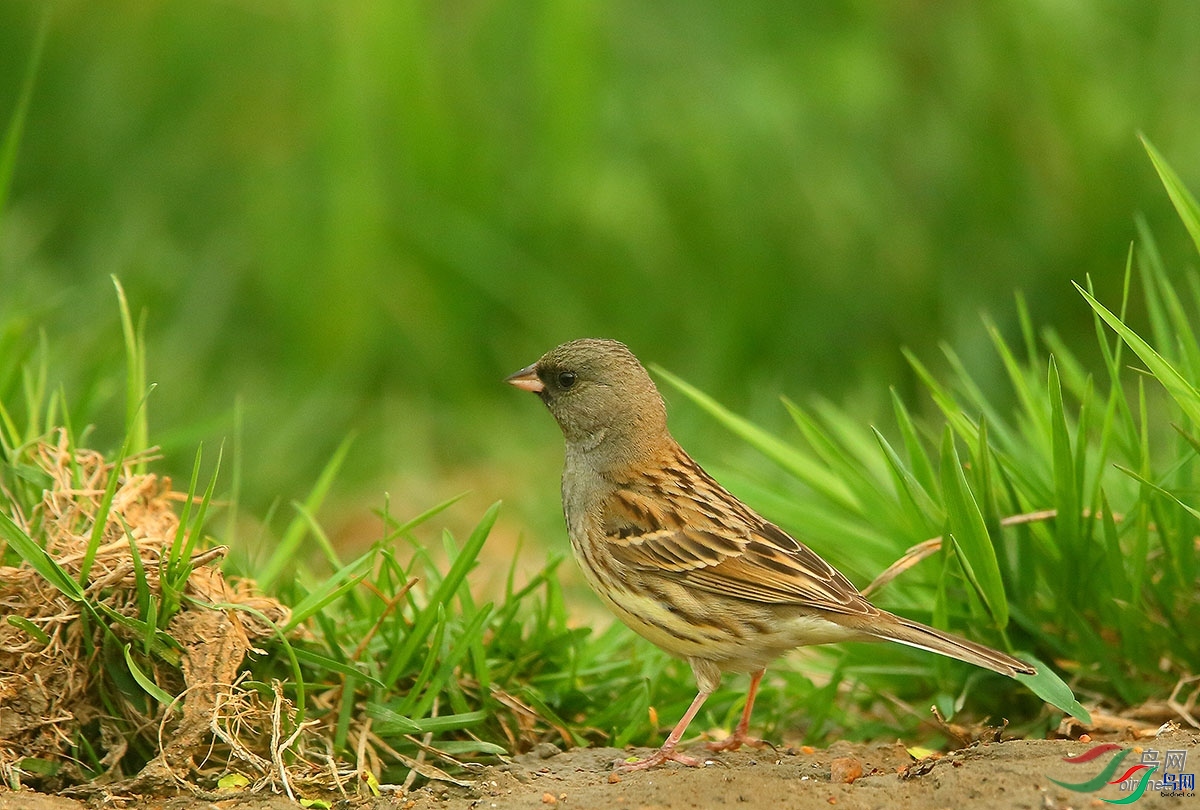 ������  ��ʦ������ɽ��ʡΫ���в�����.jpg