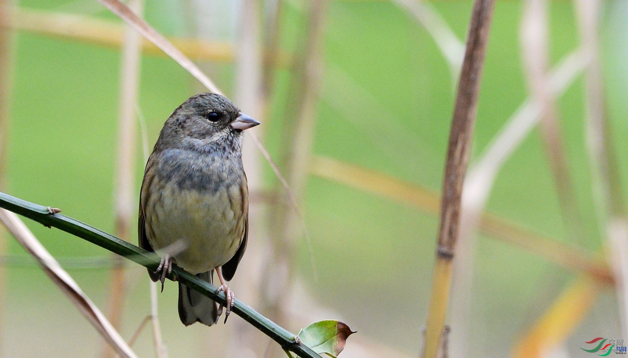 ����뻳  ��ʦ����.jpg