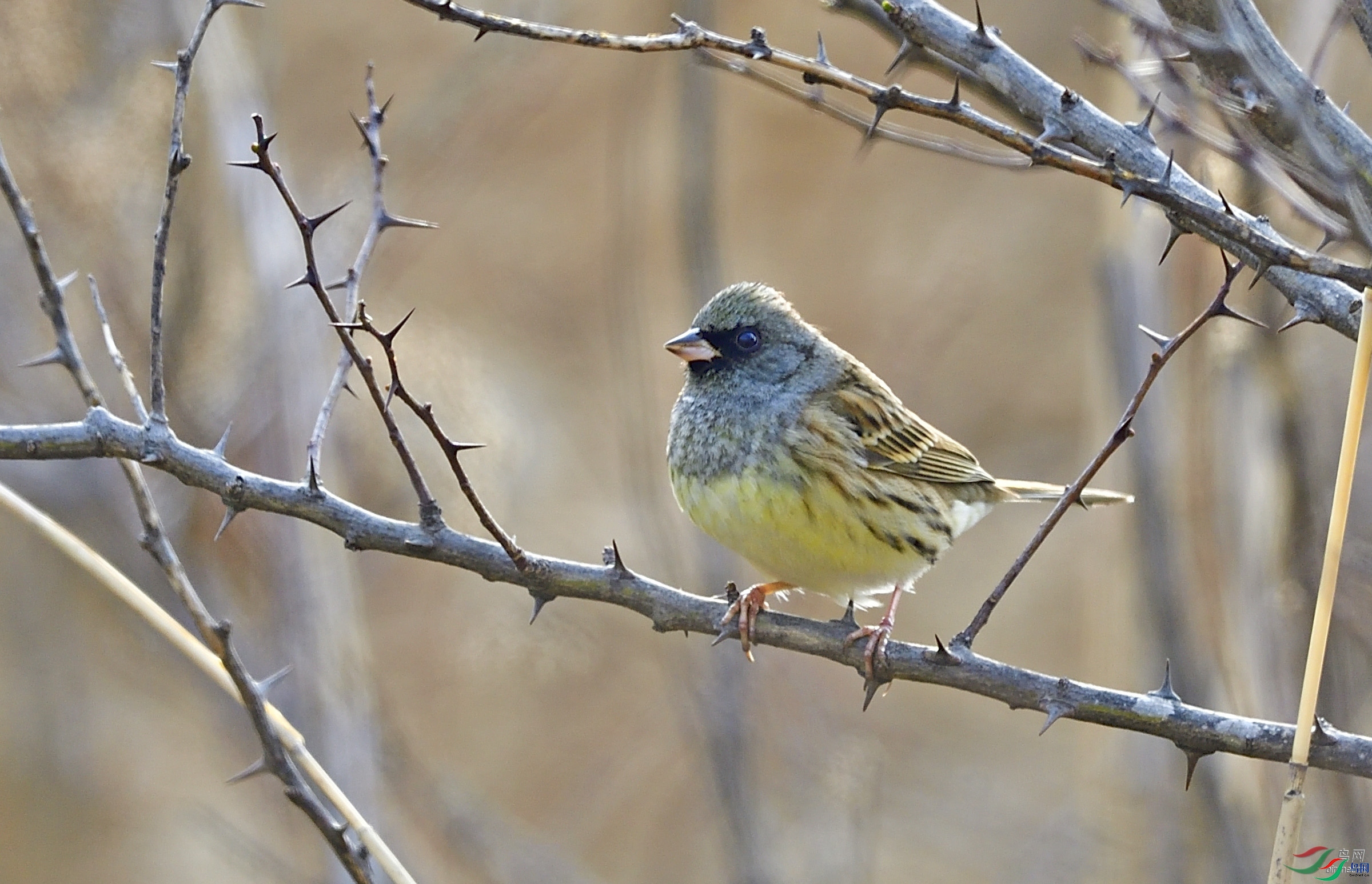 ��Ҳ����  ��ʦ����������ʡ������.jpg